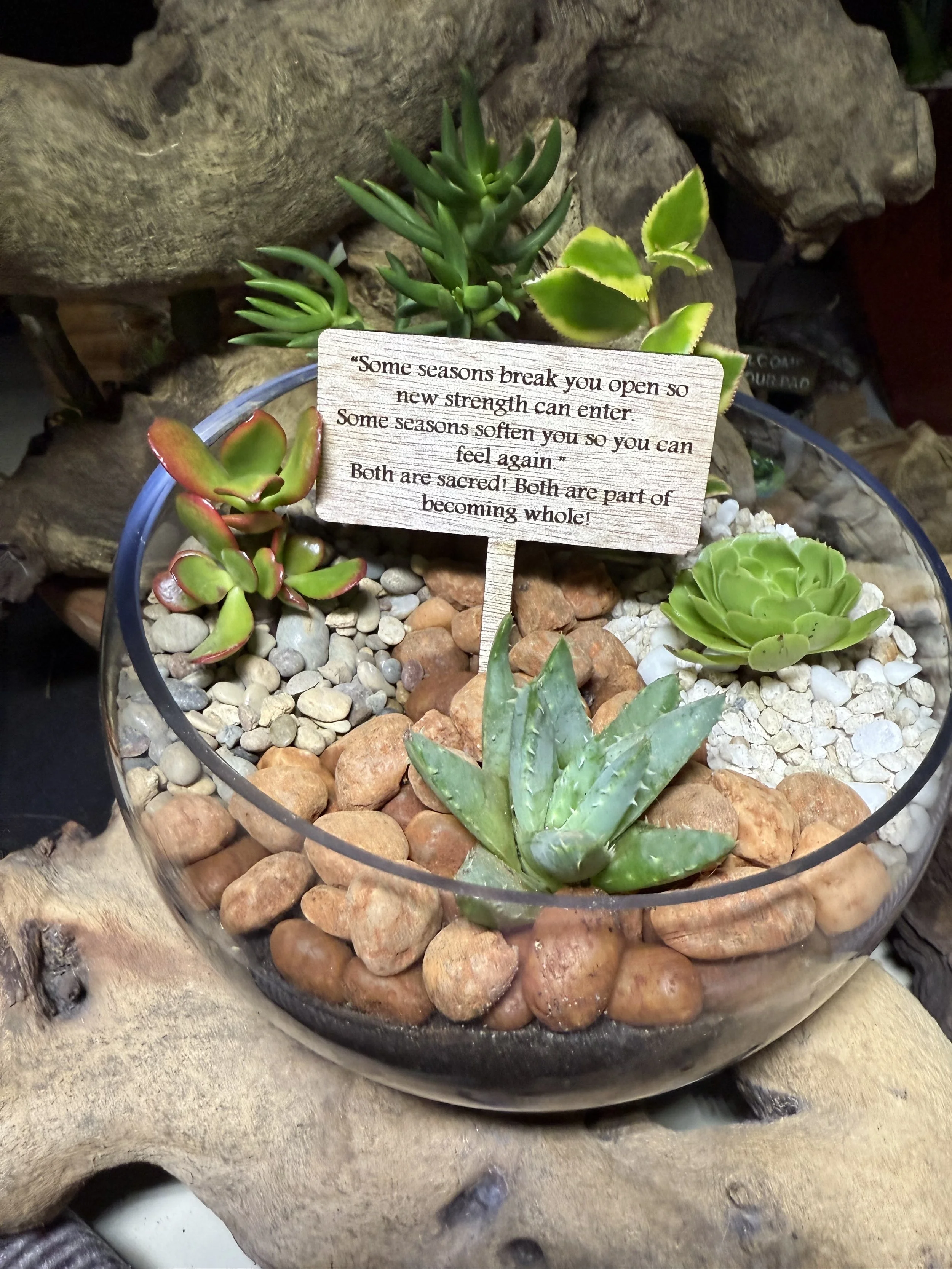 Bubble Gardens with natural stone