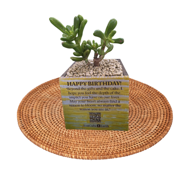 Ivy League's YouCube Earth. Happy Birthday