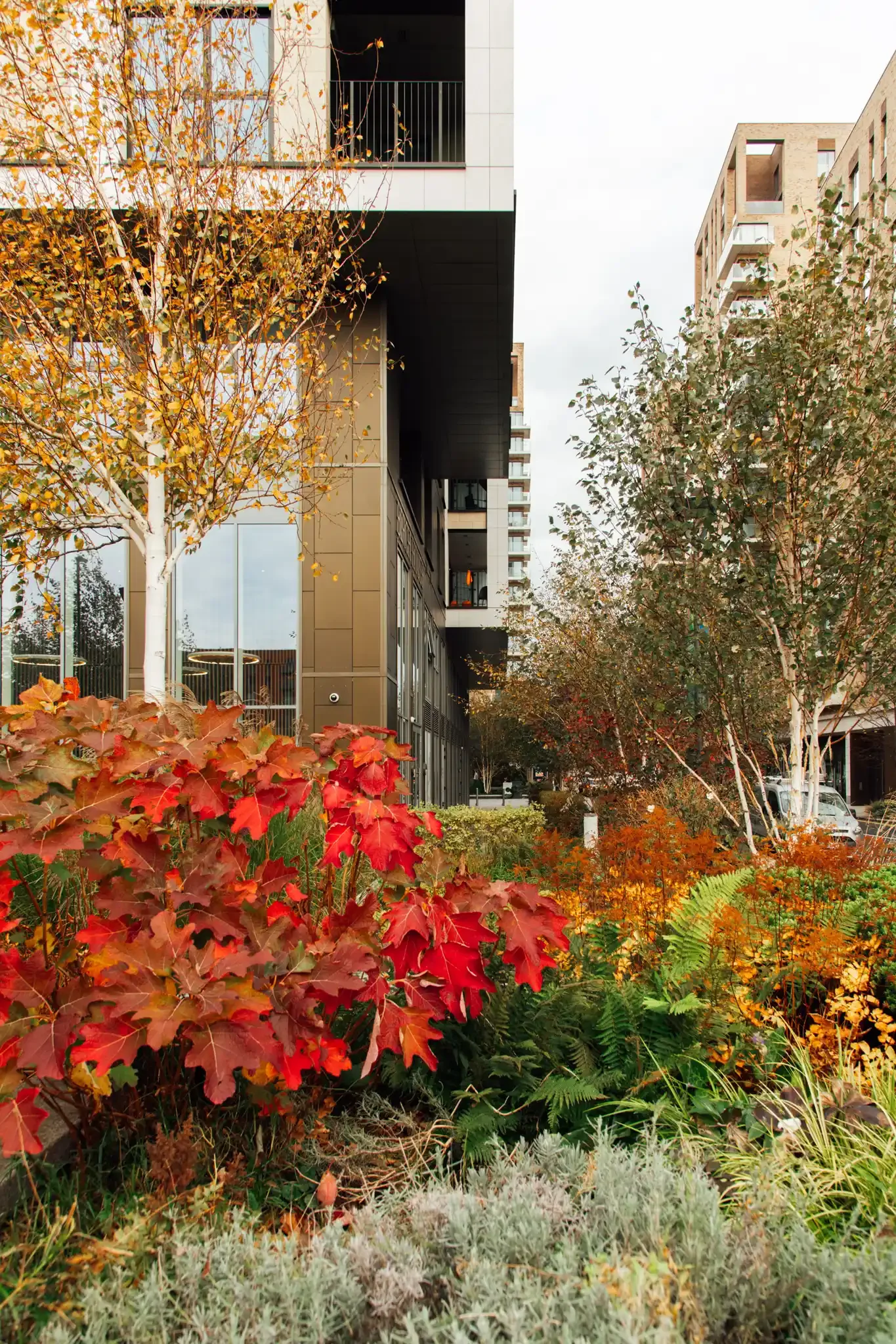 Autumn