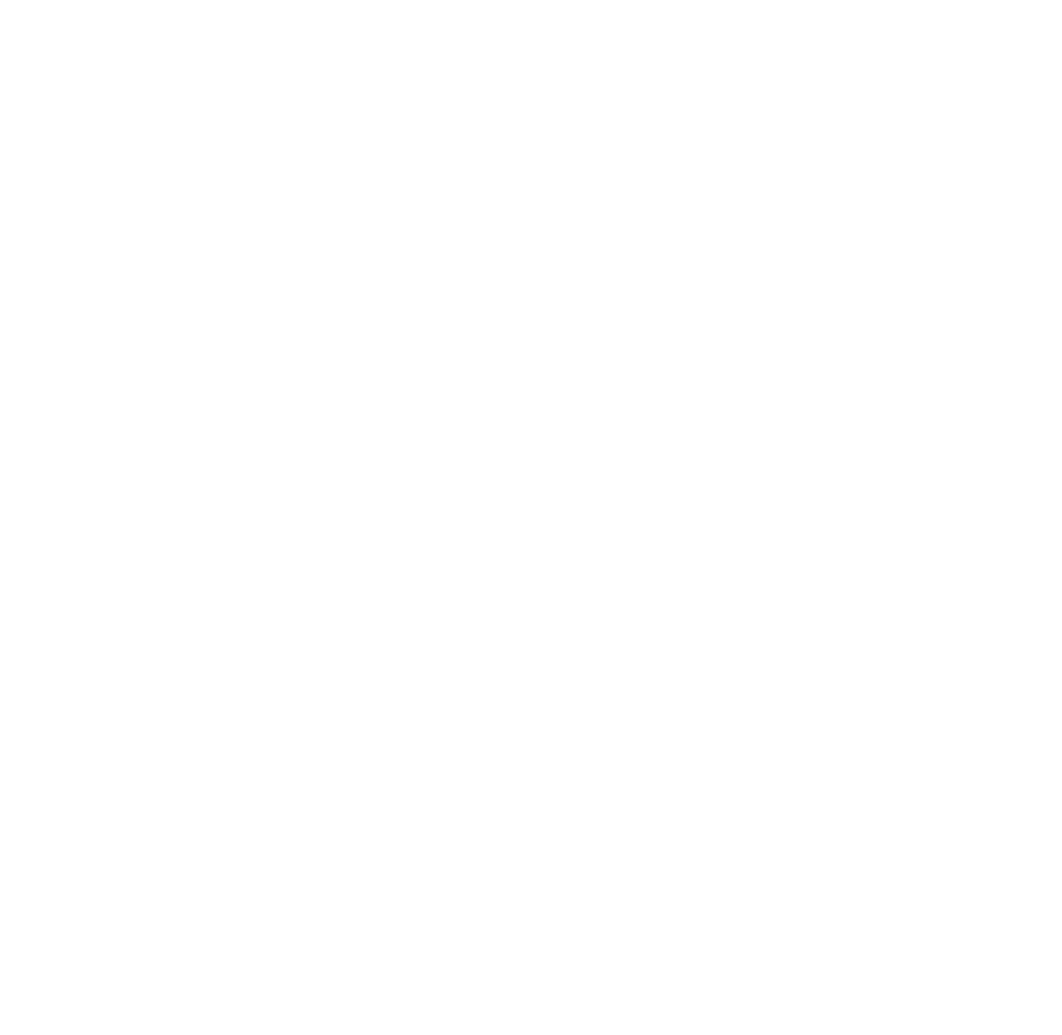 Black and white logo with a stylized lion's head above the text 'PUBLIC GROUP'