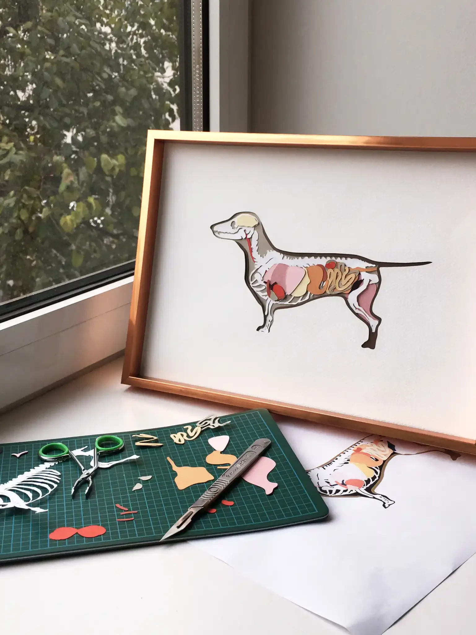 A framed diagram of a dog showing internal organs and skeleton, placed on a white surface near a window with trees outside. There are crafting tools, paper cutouts, and a cutting mat with scissors and letters on the surface.