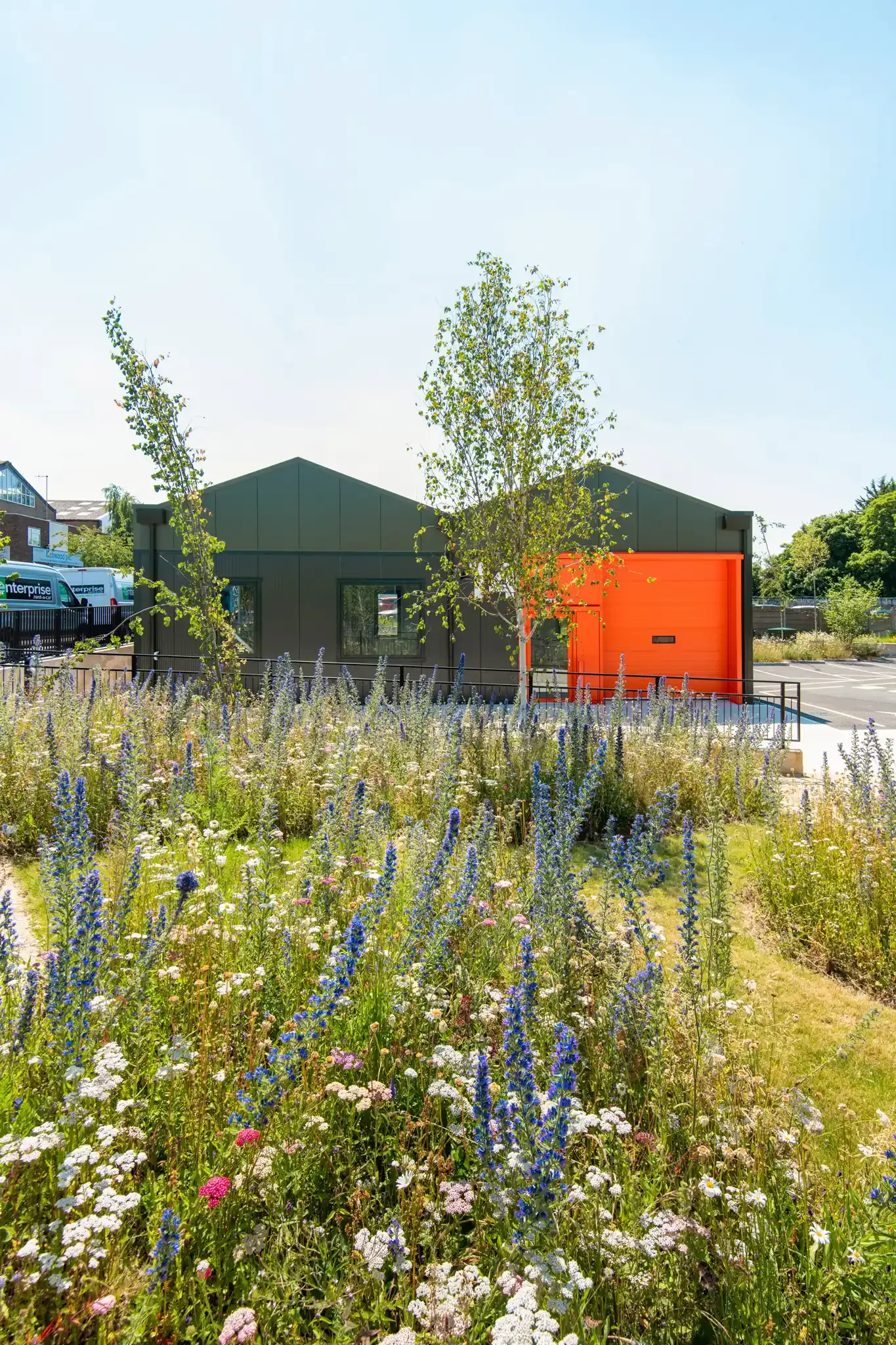 A modern building with gray walls and a bright orange door, surrounded by a garden with tall purple, white, and pink flowers, and two young trees, under a clear blue sky.