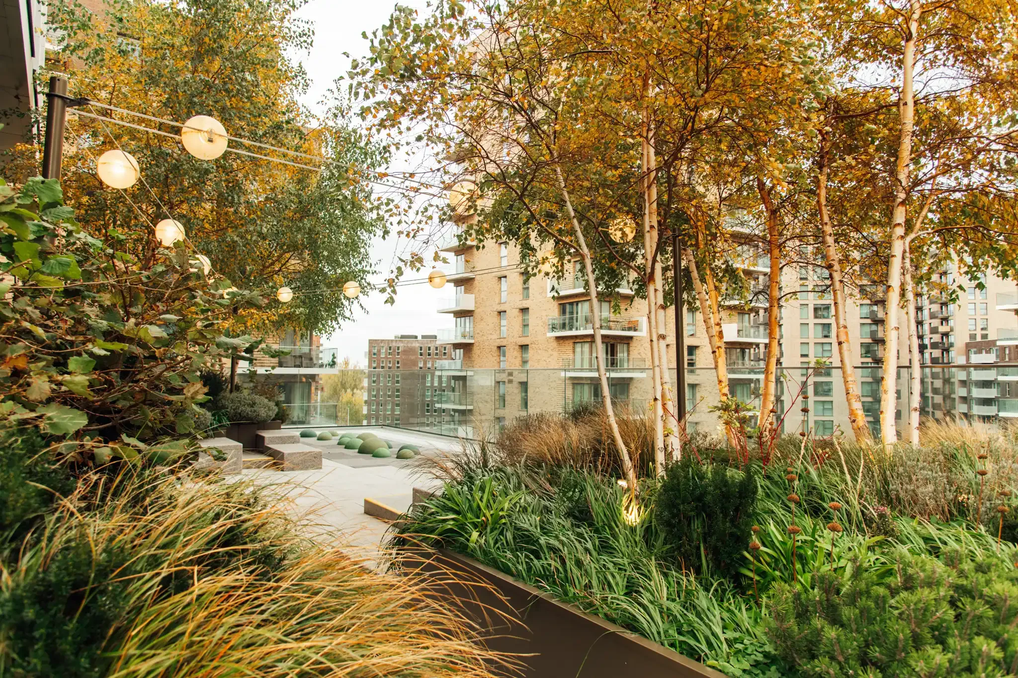 251105_Kidbrooke Birch House (200).webp