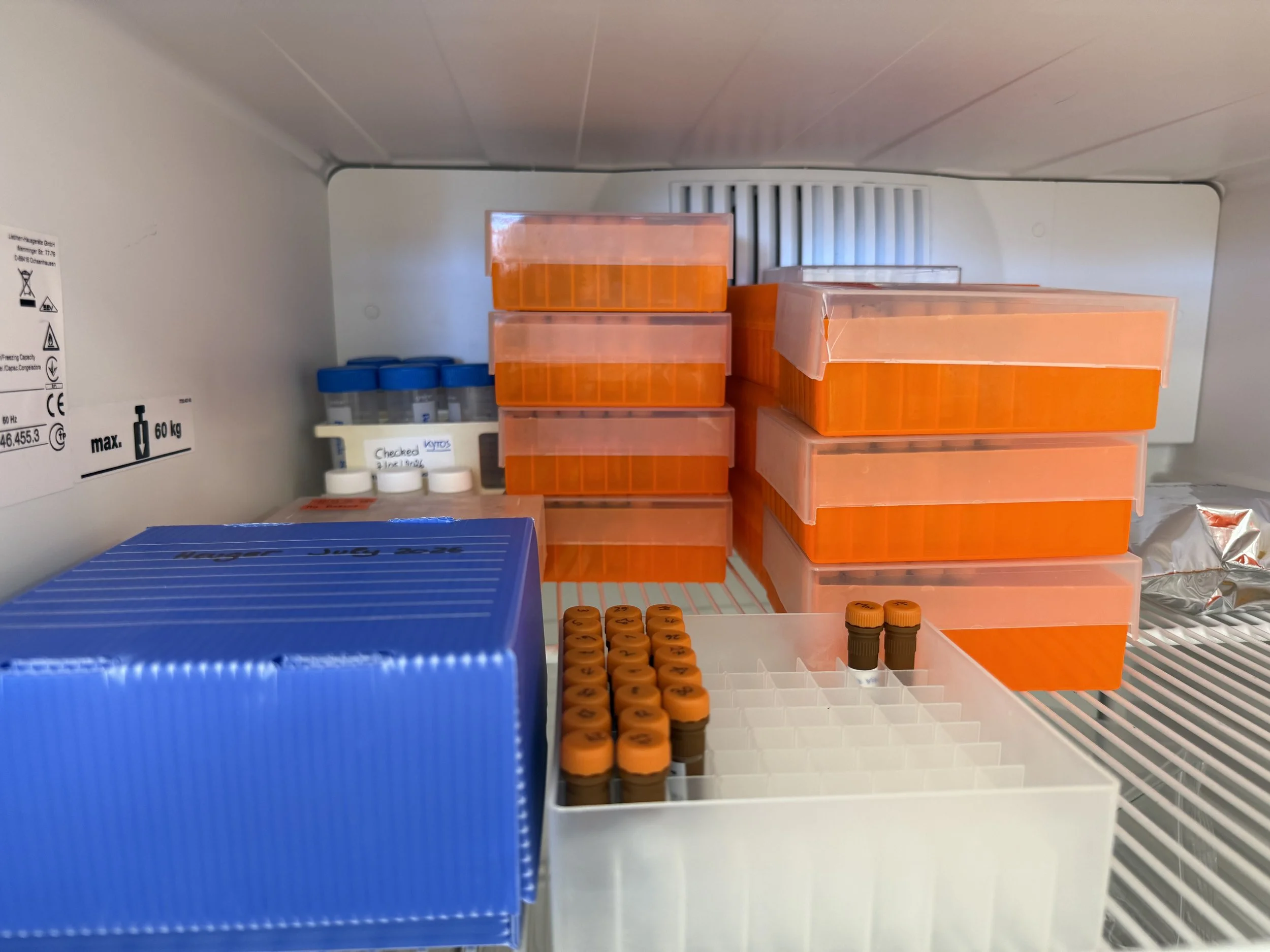 Inside a refrigerator shelf with orange medication bottles, white boxes, and small containers.
