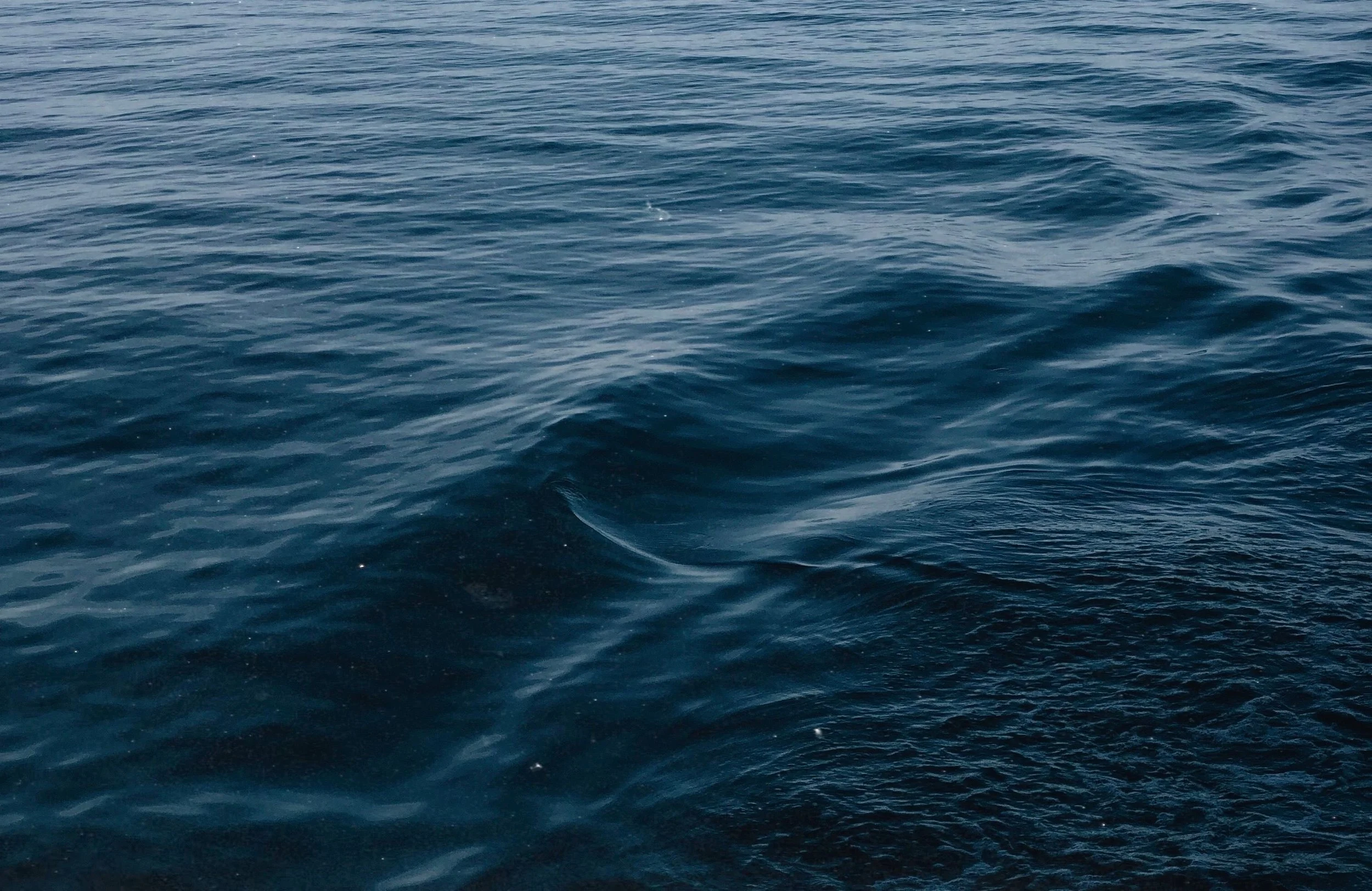 A vast expanse of blue ocean water with gentle waves.
