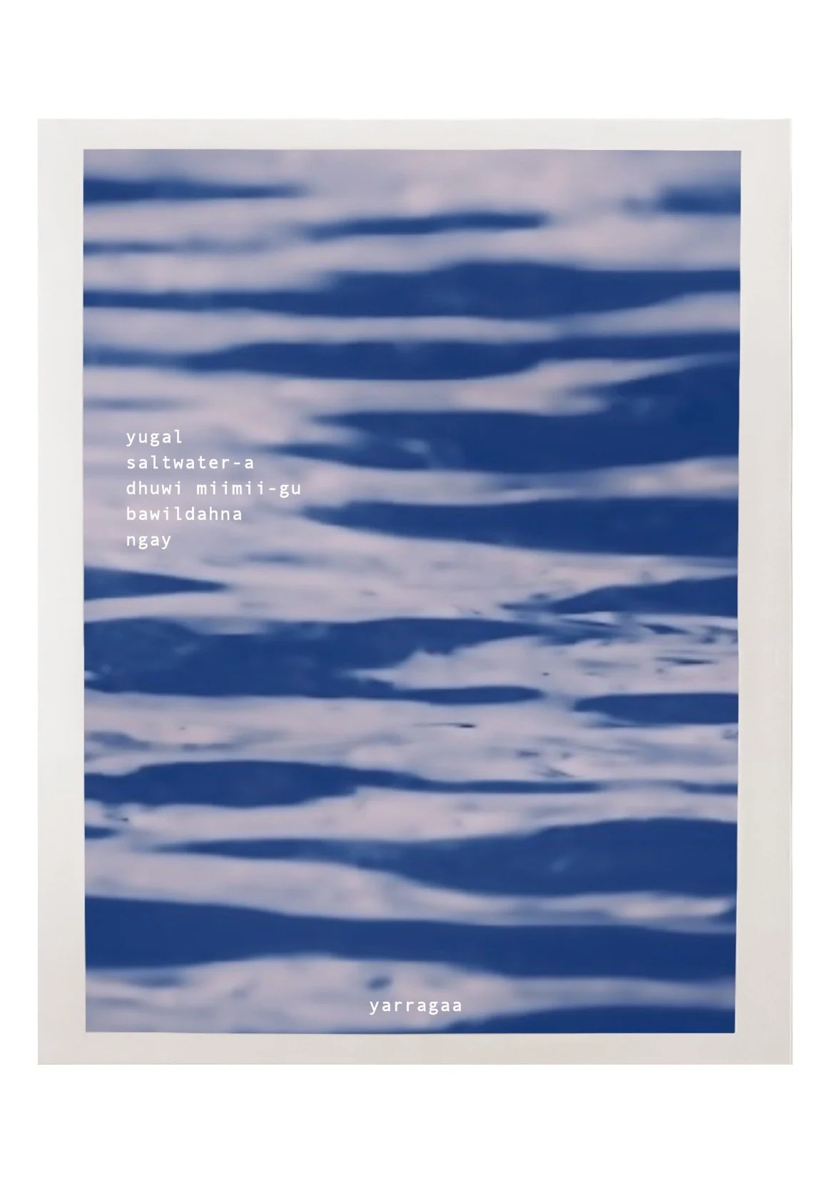 a song on salt water 

the dhuwi of my miimii 

having, i sing 