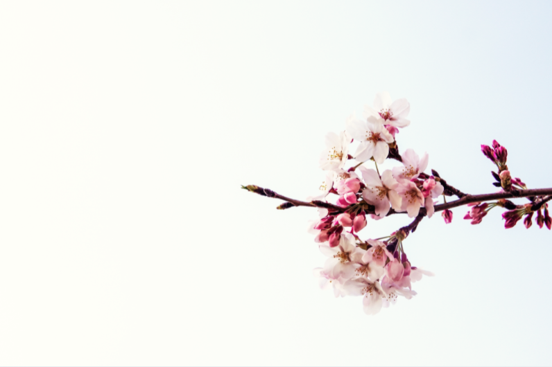  How to get closer to your purpose? 