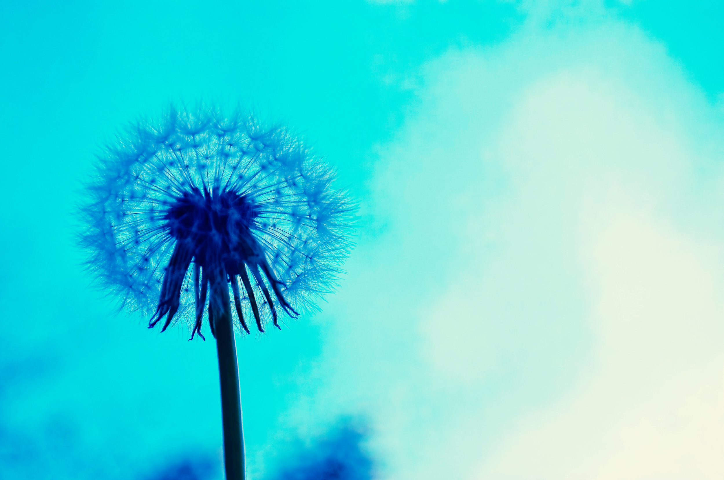Your mindset can extend your sphere of influence 