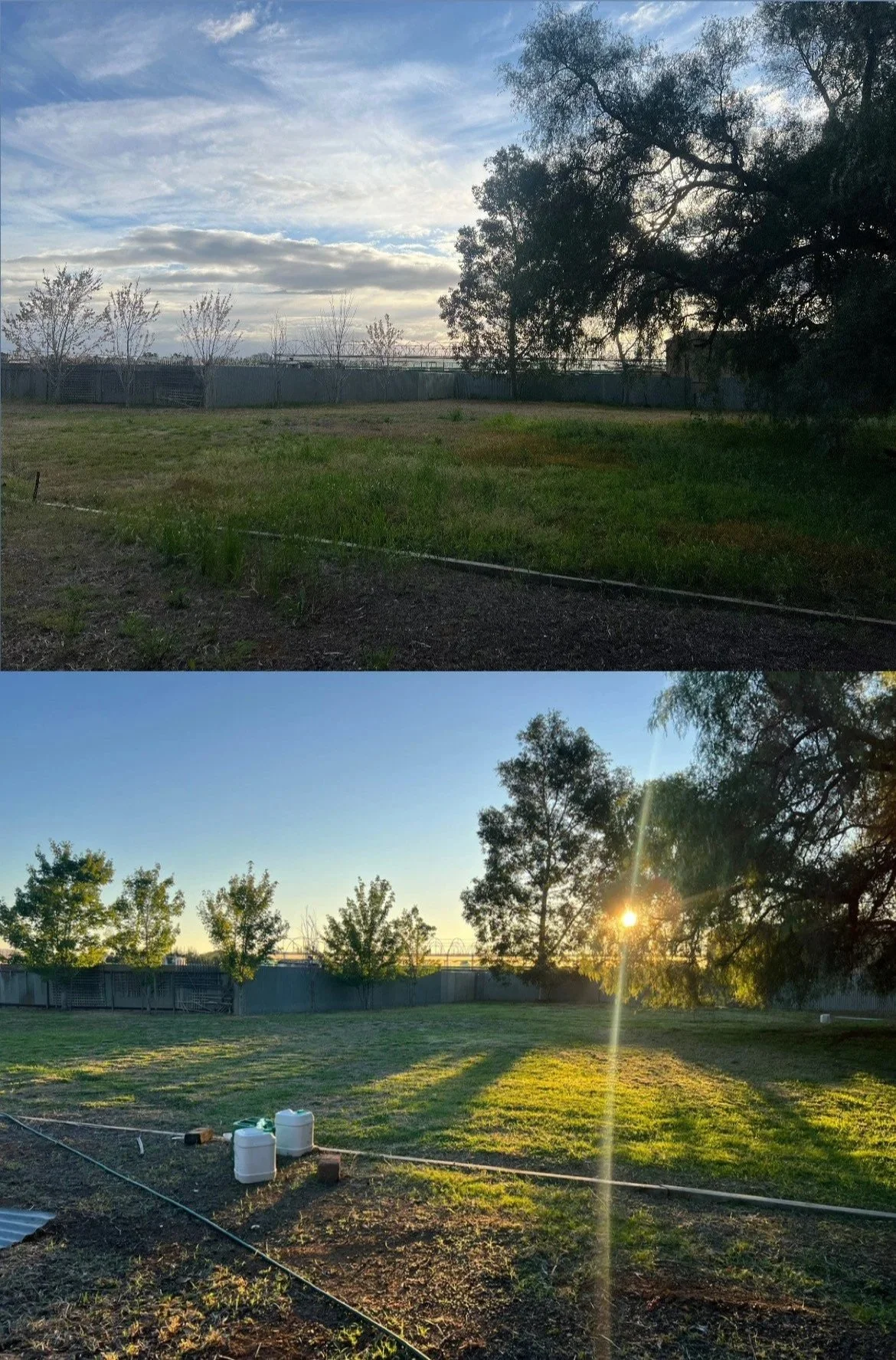 Backyard after some tlc
