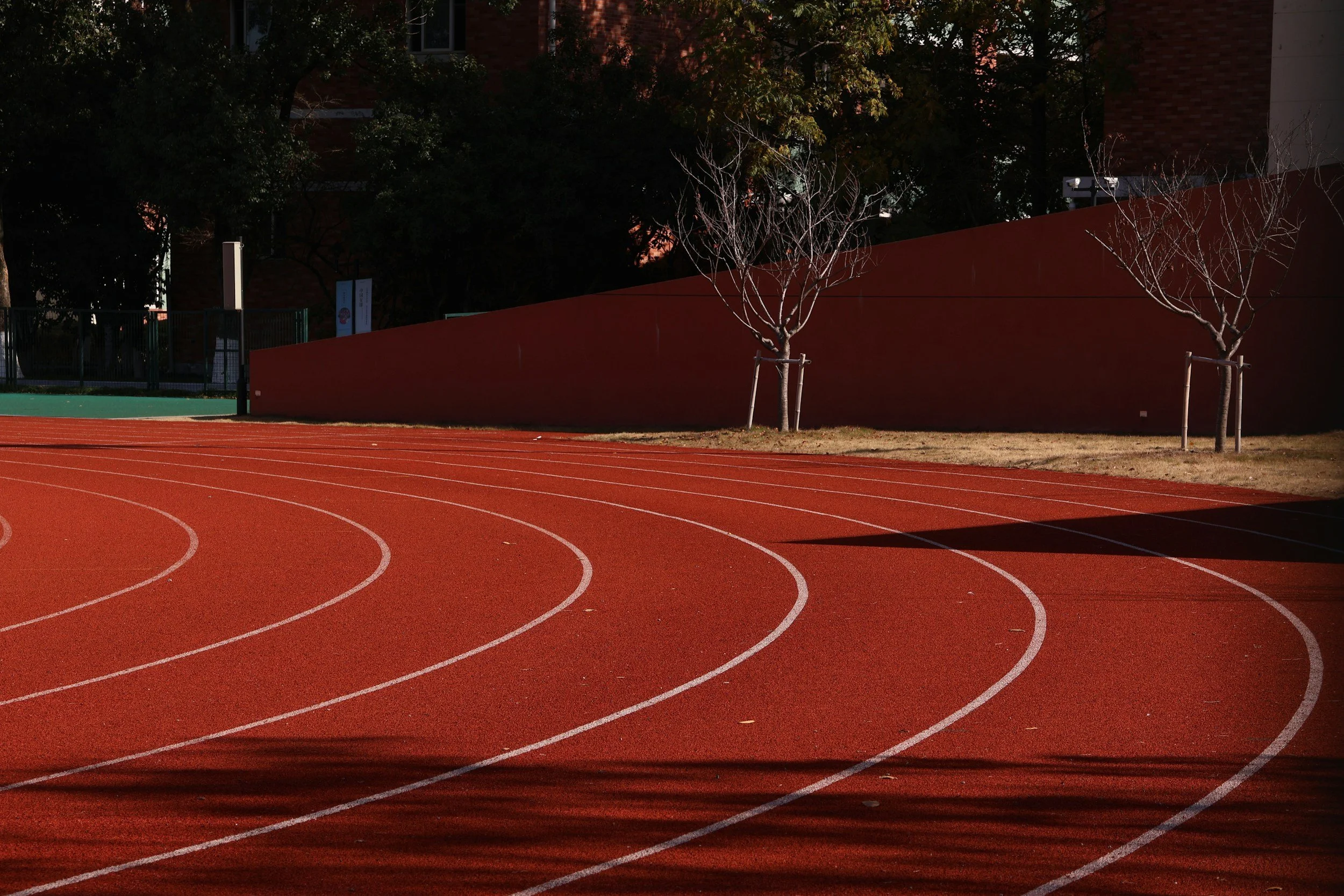 A red running track with white lane lines, two leafless trees supported by stakes, a red wall, and some trees and buildings in the background, taken during daylight.
