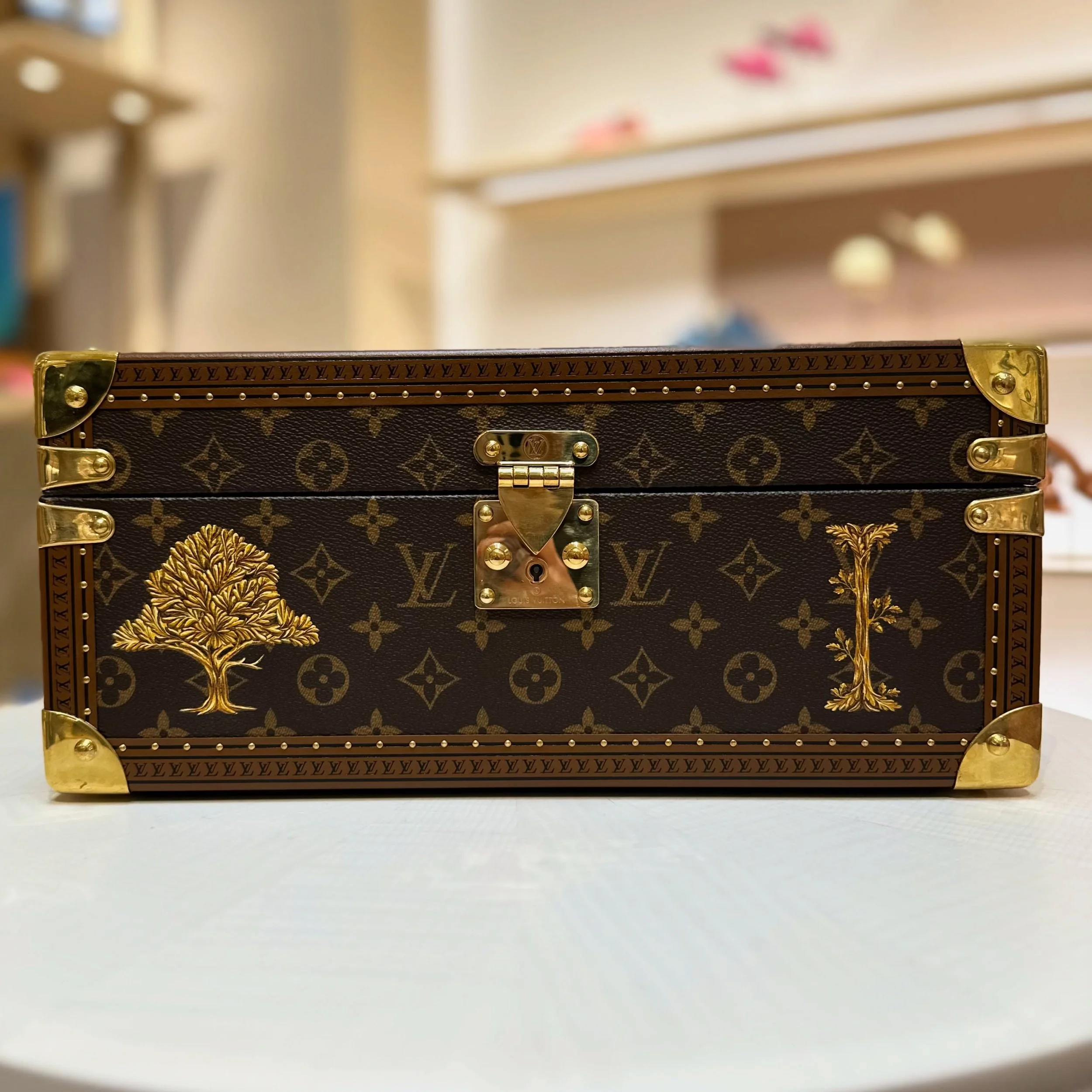 Cofre Accessoires🪾

#louisvuittonpersonalization #handpaintedtrunk #lvtrunk