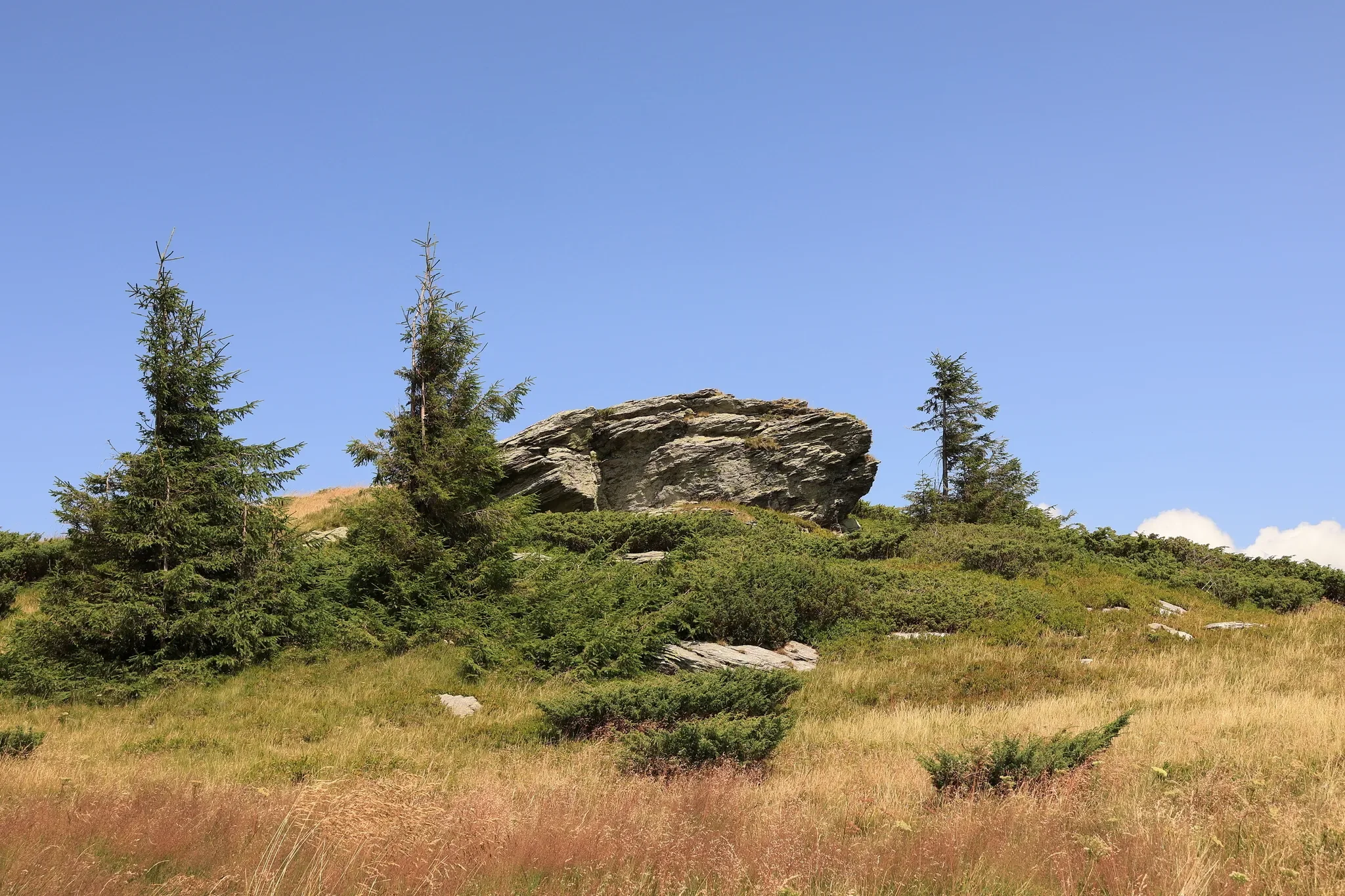 A scenic landscape with green grass, tall pine trees, and a large rock formation set under a bright blue sky.
