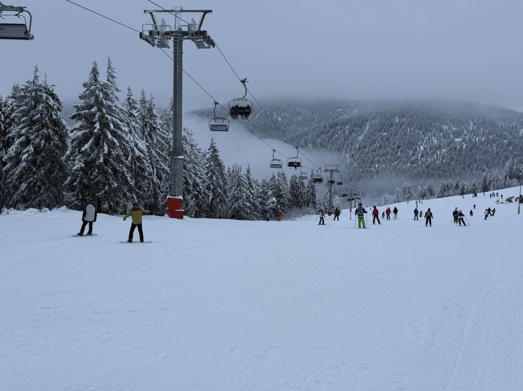 People enjoying skiing on a snowy mountain, with a ski lift carrying skiers up the slope and snow-covered trees in the background.