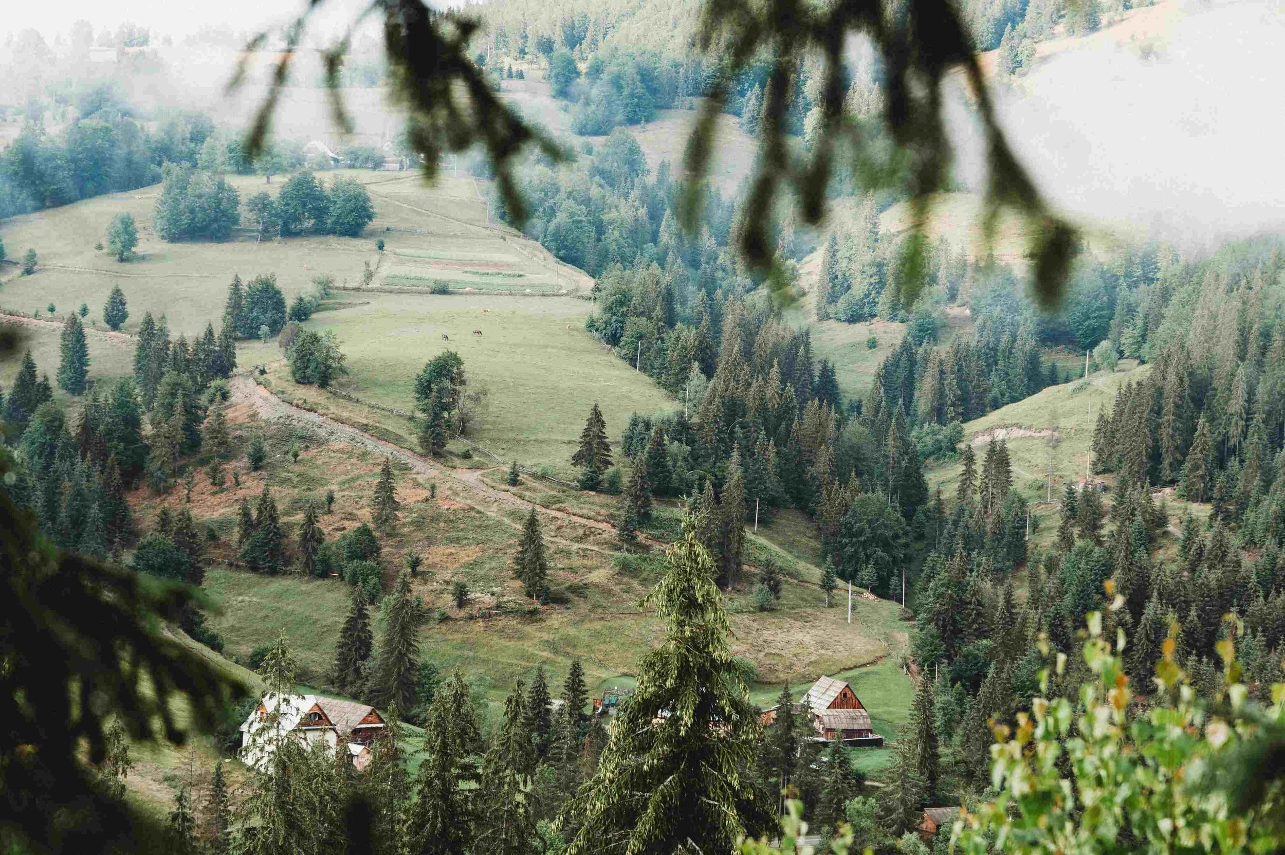 A scenic view of a lush green mountainous landscape with scattered houses, dense forests, and winding dirt roads, viewed through tree branches and leaves in the foreground.