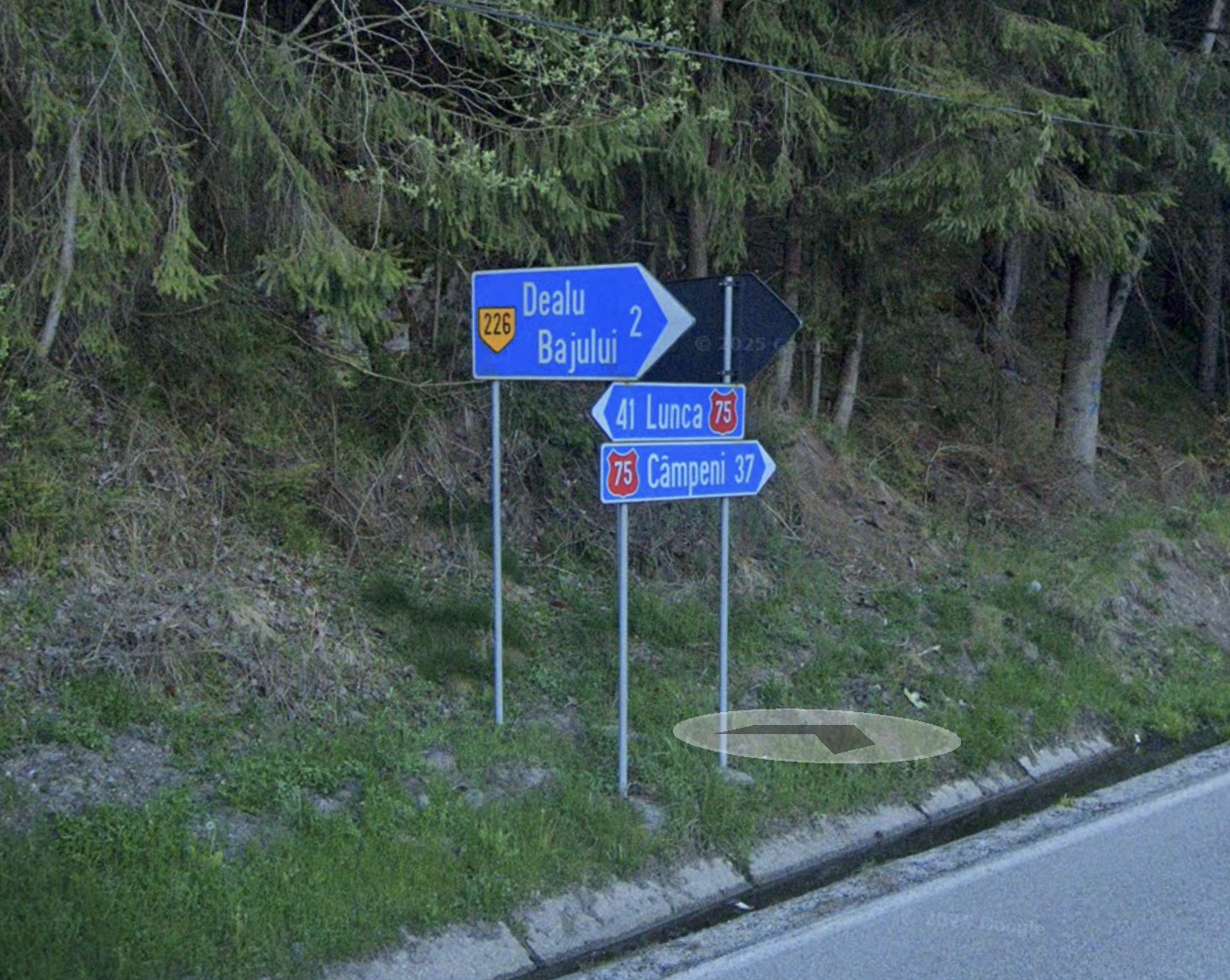 Roadside directional signs pointing to Dealu Bajului, Lunca, and Câmpeni, surrounded by trees and grassy area.