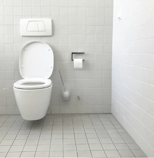 Toilet Installation