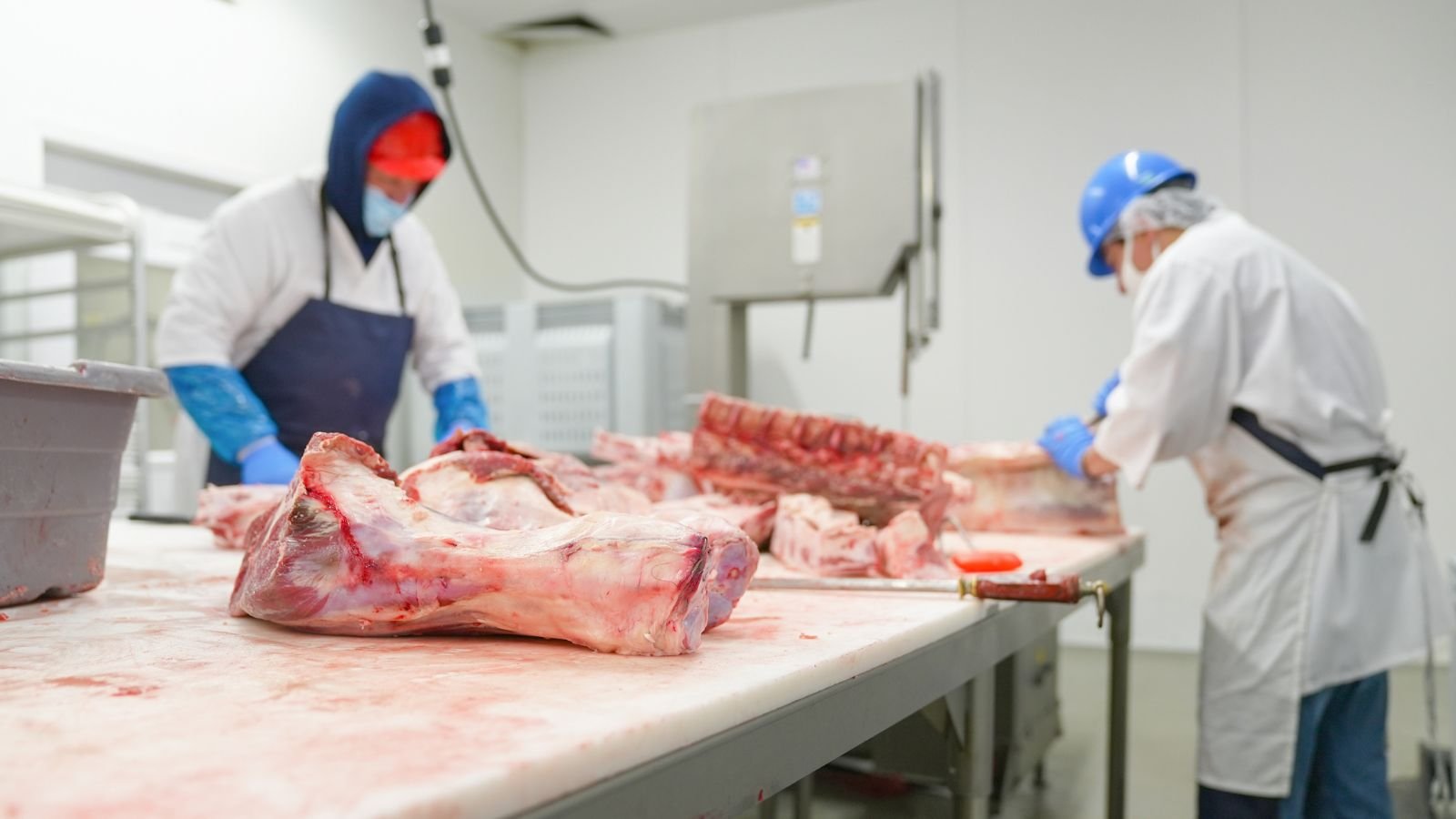 Butchers in a meat processing facility working with large cuts of meat on a stainless steel table, wearing aprons, gloves, masks, and hair covers.