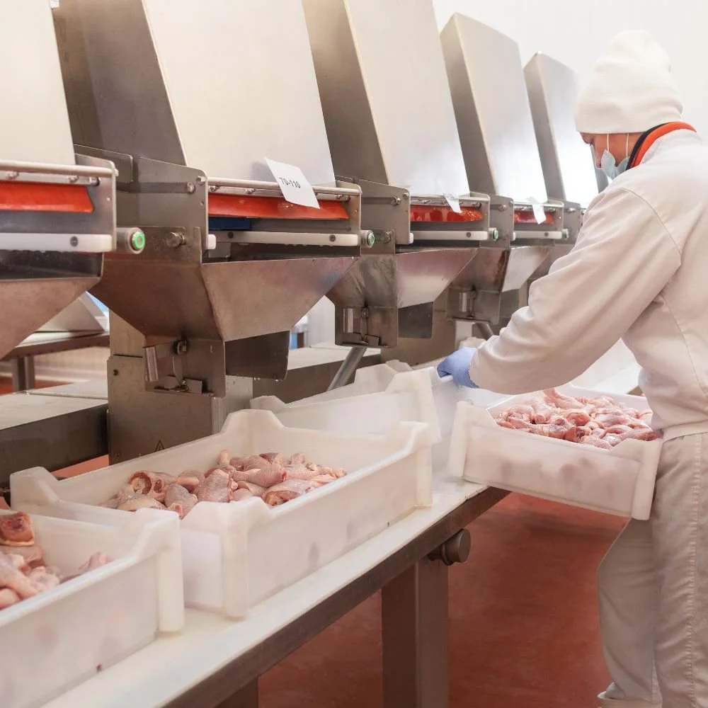 Worker in white coat, hat, and mask handling trays of raw chicken in a meat processing facility.