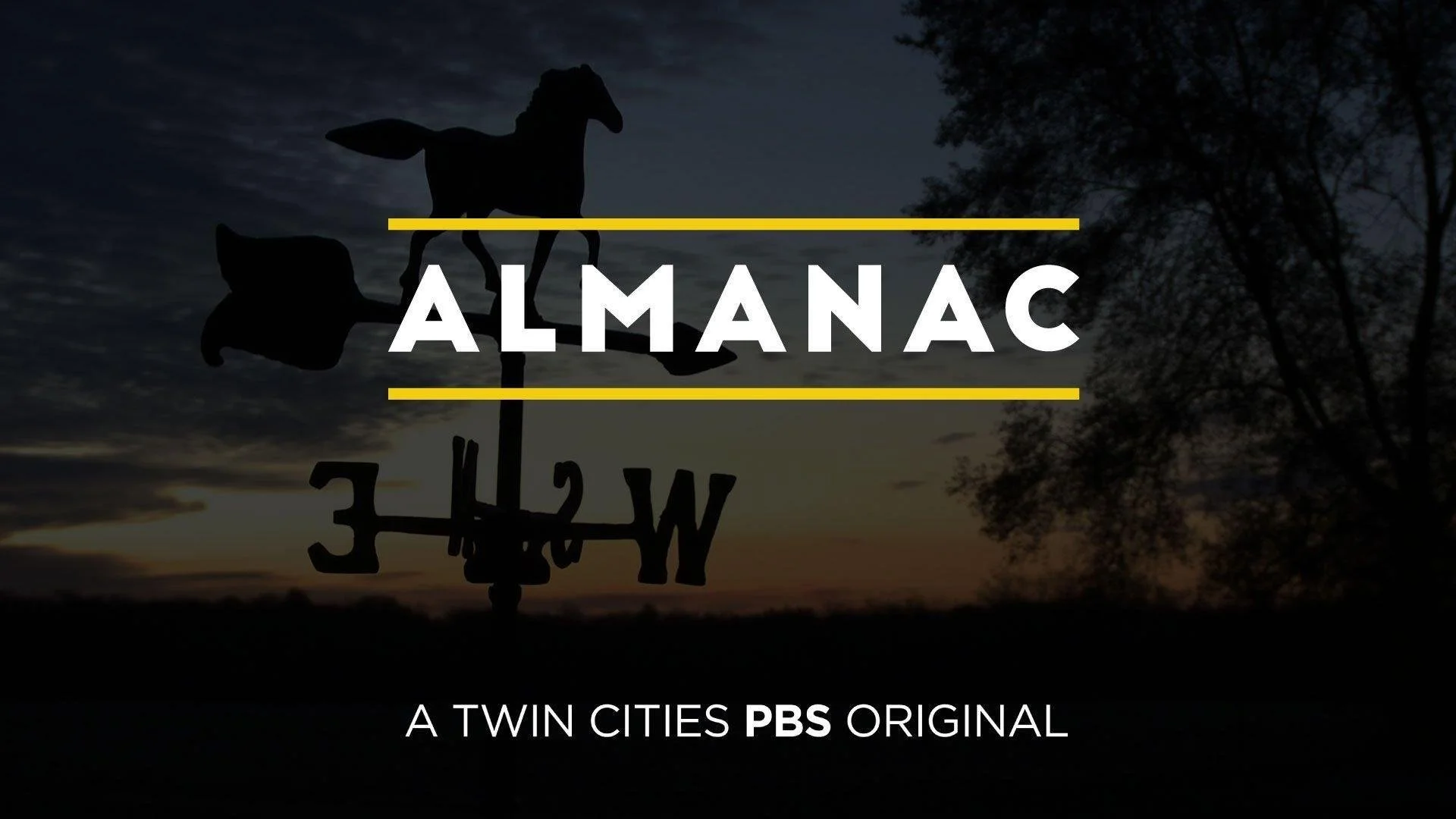 Almanac (Video Content)
