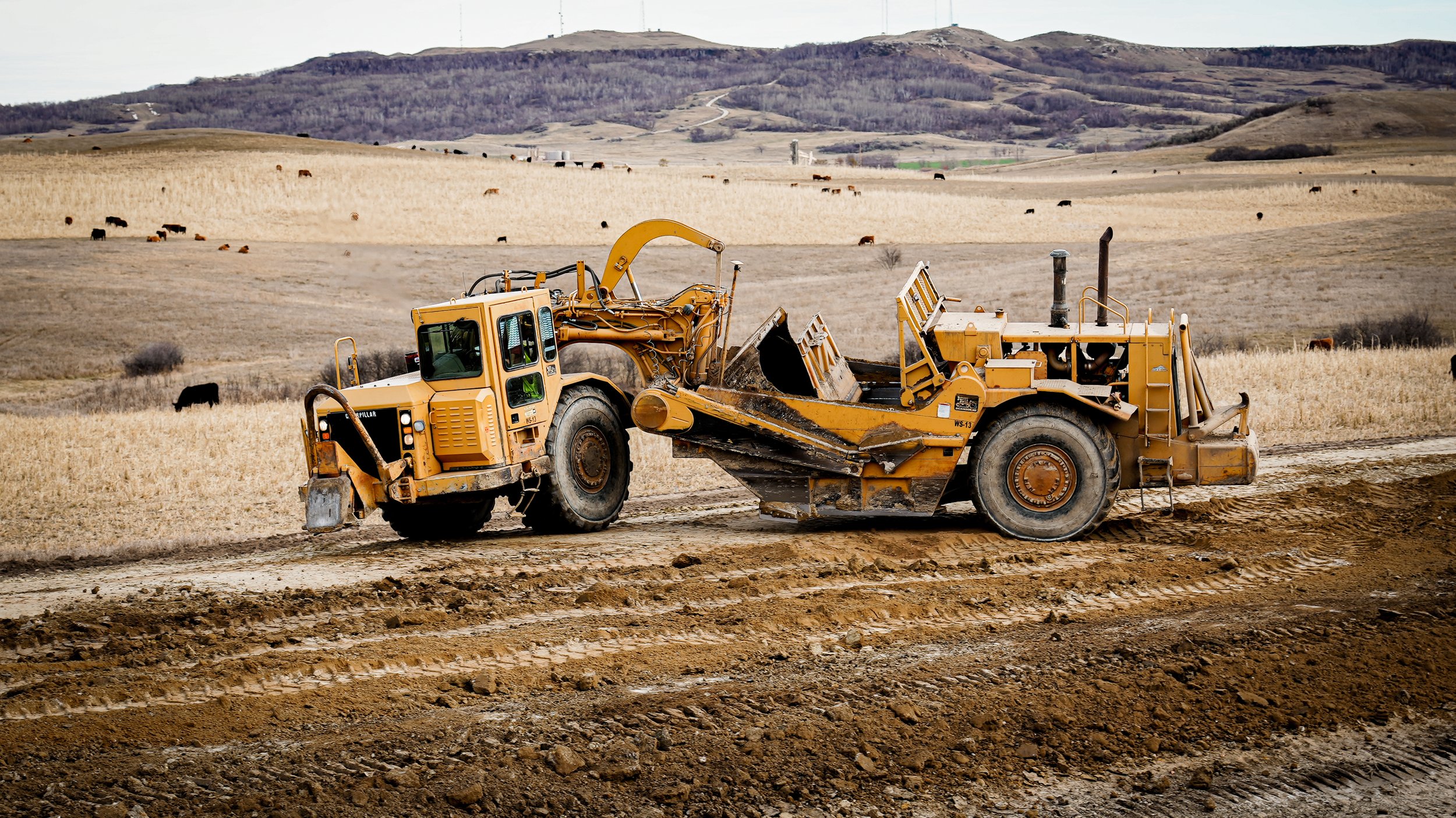 DunnCounty_Harris-43.jpg