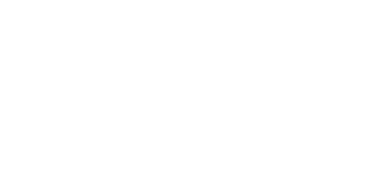 Dante Johansson Rally