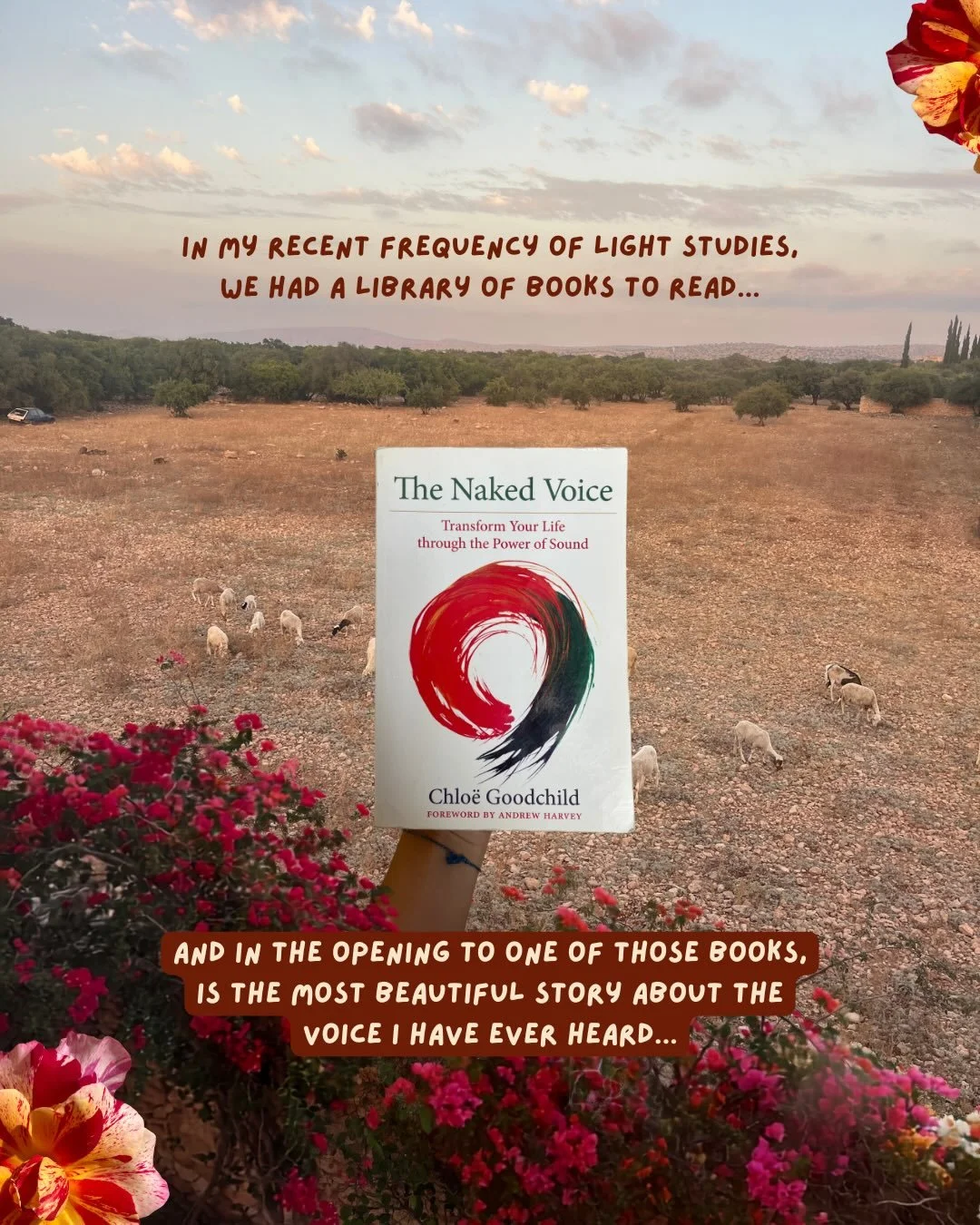 One of the most beautiful stories you will ever hear on the voice 🥹&hearts;️✨

Taken from the book The Naked Voice by @chloegoodchild2025