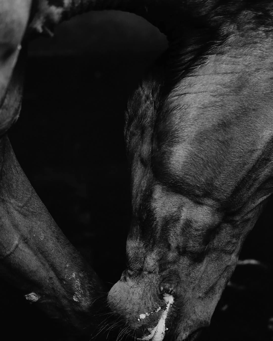 A day at the stables with @vissertosca and her beautiful horse Jackson 💞A few weeks ago, I boug (2).jpg