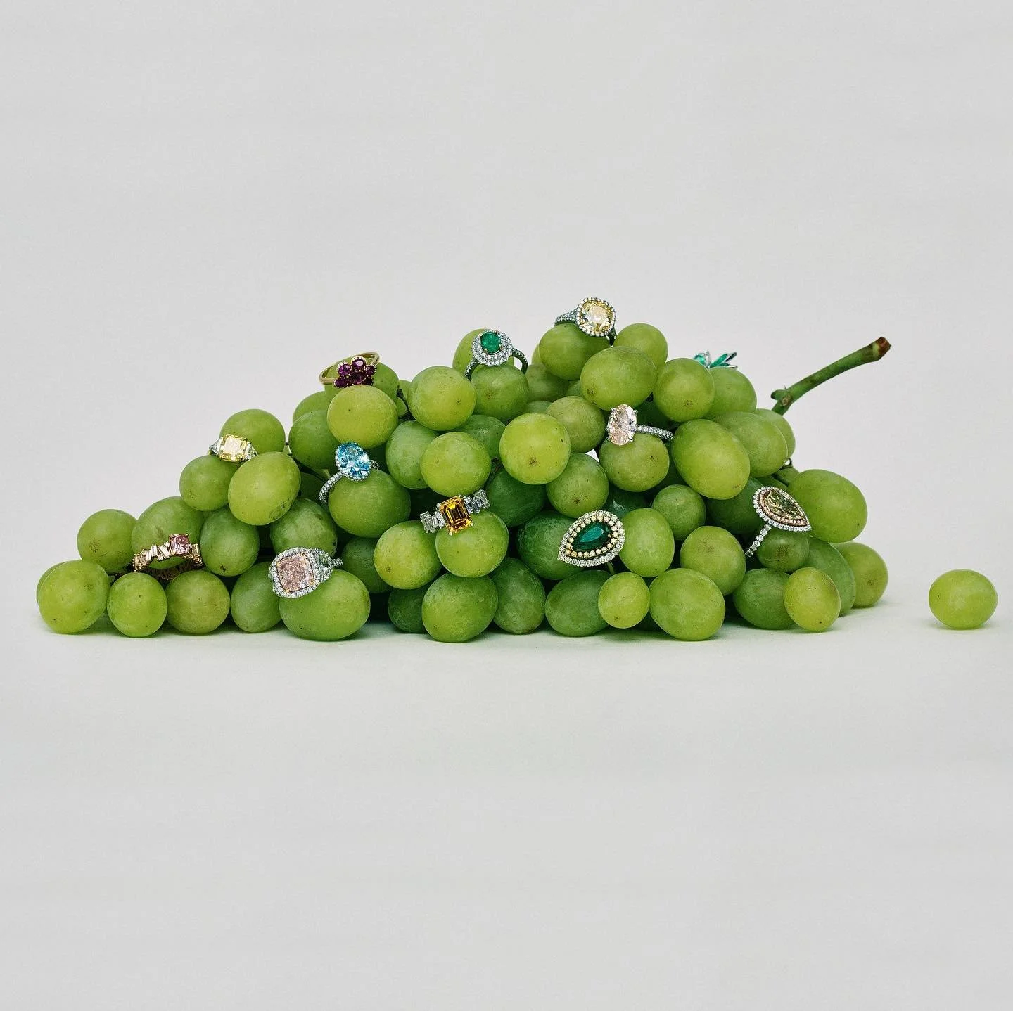 Test Test