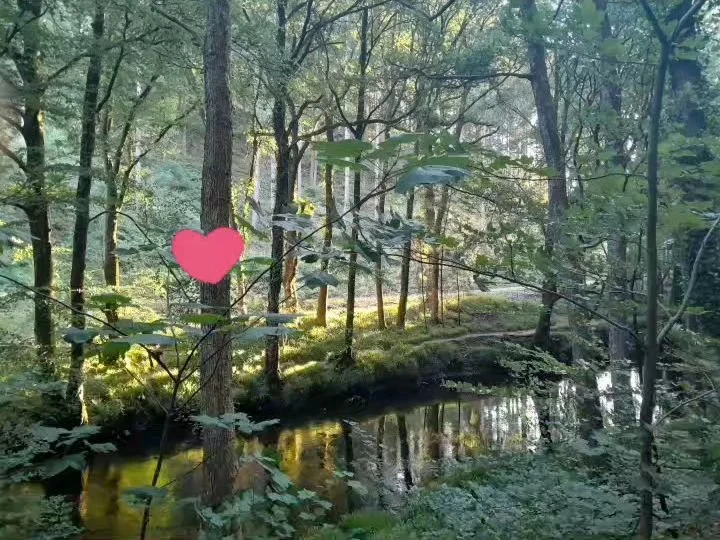 A magical few hours on Tuesday evening with @theresa.lober and @dj_ojo swimming in the Teign by Fingle Bridge and a short hike watching the sun go down over the top of the valley. 

I still have to pinch myself that I can do something like this on a 