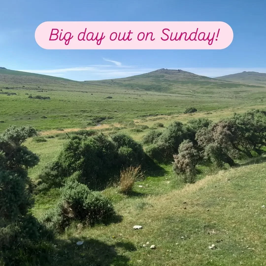 So many pictures from a good-for-the-soul solo hike on Sunday 🌿☀️🪨

I love hiking alone - it creates space and quiet in my brain which feels very nourishing in a life which is usually filled with constant noise (thanks kids! 😜).

Solitude (which i