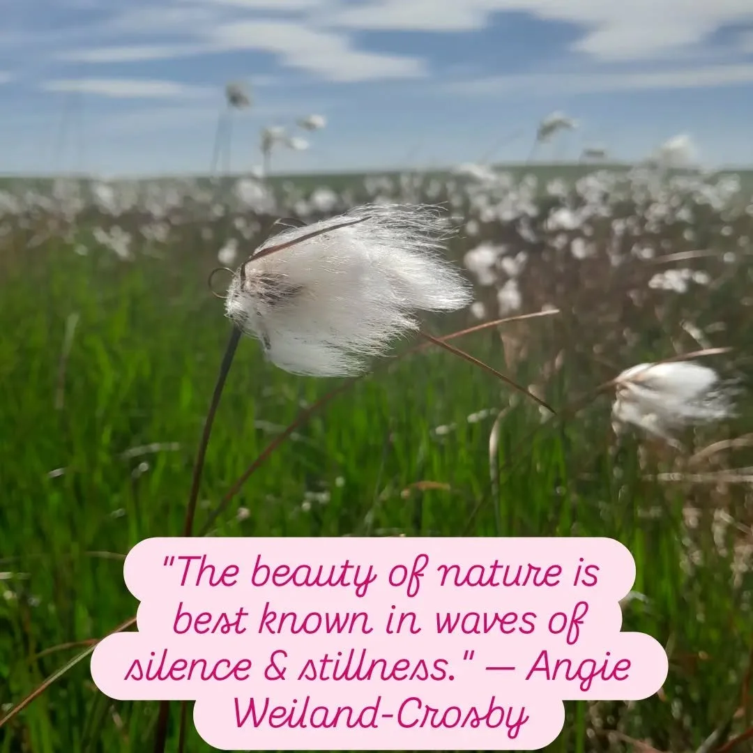 I just came across this quote and it really resonated with me. 

Many of my favourite moments on Dartmoor have been the quiet ones ✨️

#mindfulhiking #wildcalmdartmoor #dartmoor #quietmoments