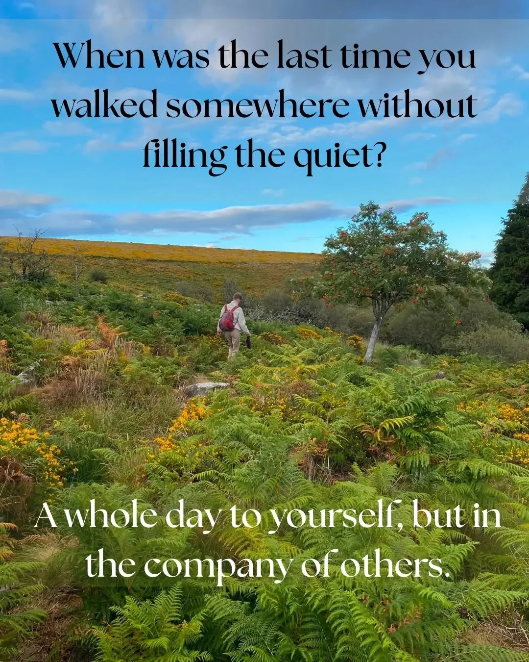 When was the last time you spent several hours without feeling the need to talk?

Our silent walking days offer the chance to step away from the noise and busyness of everyday life and simply walk.

We'll spend much of the day walking quietly togethe