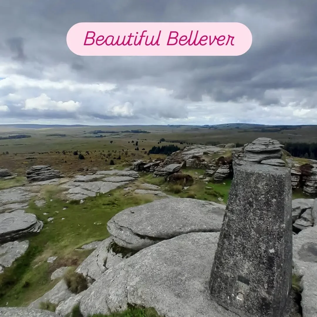 A day out last week wandering round the beautiful Bellever area - up Bellever Tor, through the forest and across the stepping stones whilst visiting lots of Bronze Age remains on the way. Someone had placed some bright sunflowers on a cist which were