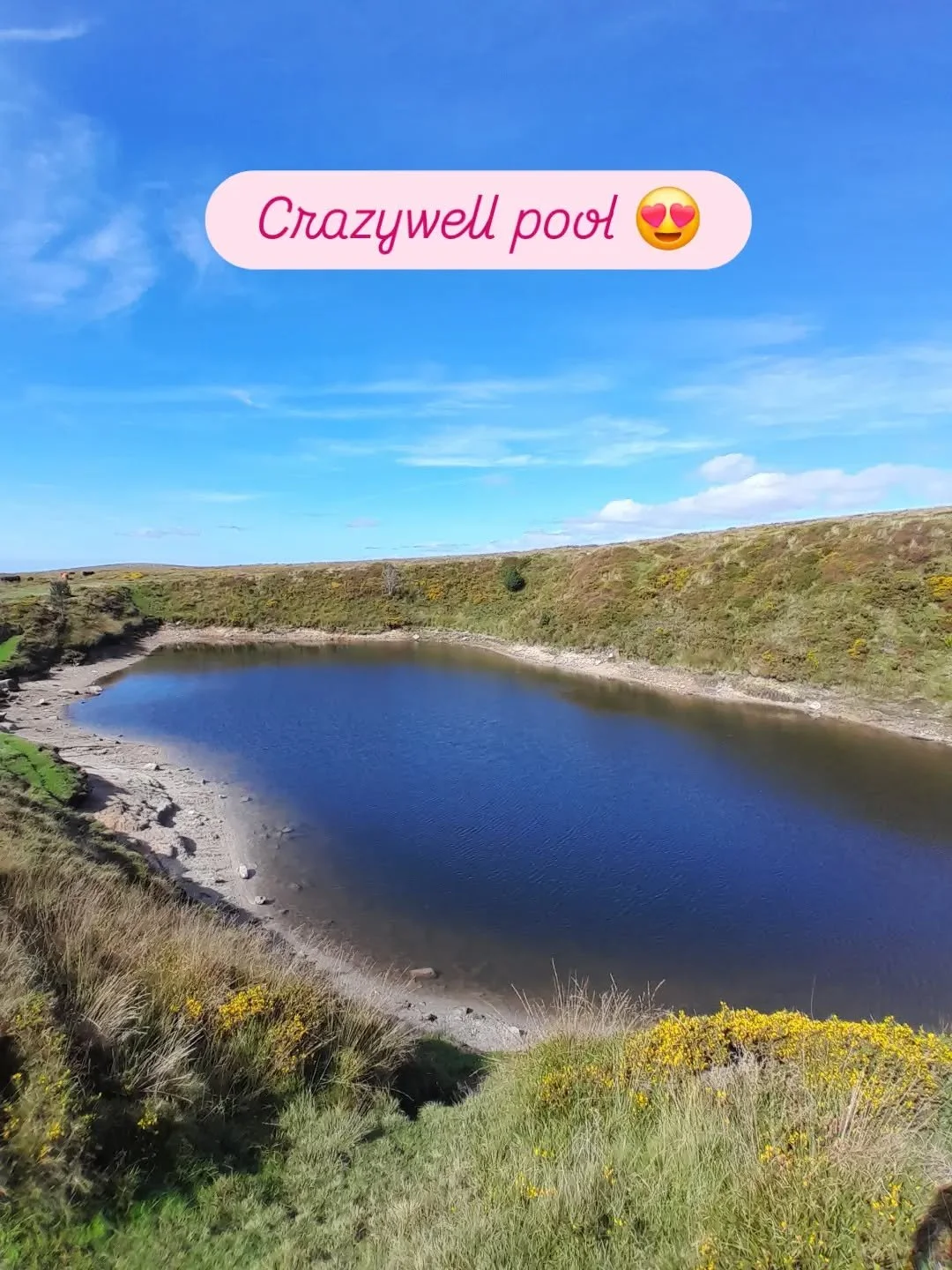 A glorious circular walk stopping at Crazywell Pool for a swim, Hingston Hill stone row and stone circle, 3 stone crosses and Nun's Cross Farm. 

Can't wait to do it again! 

#wildcalmdartmoor #exploredartmoor #natureconnection #mindfulwalking #wilds
