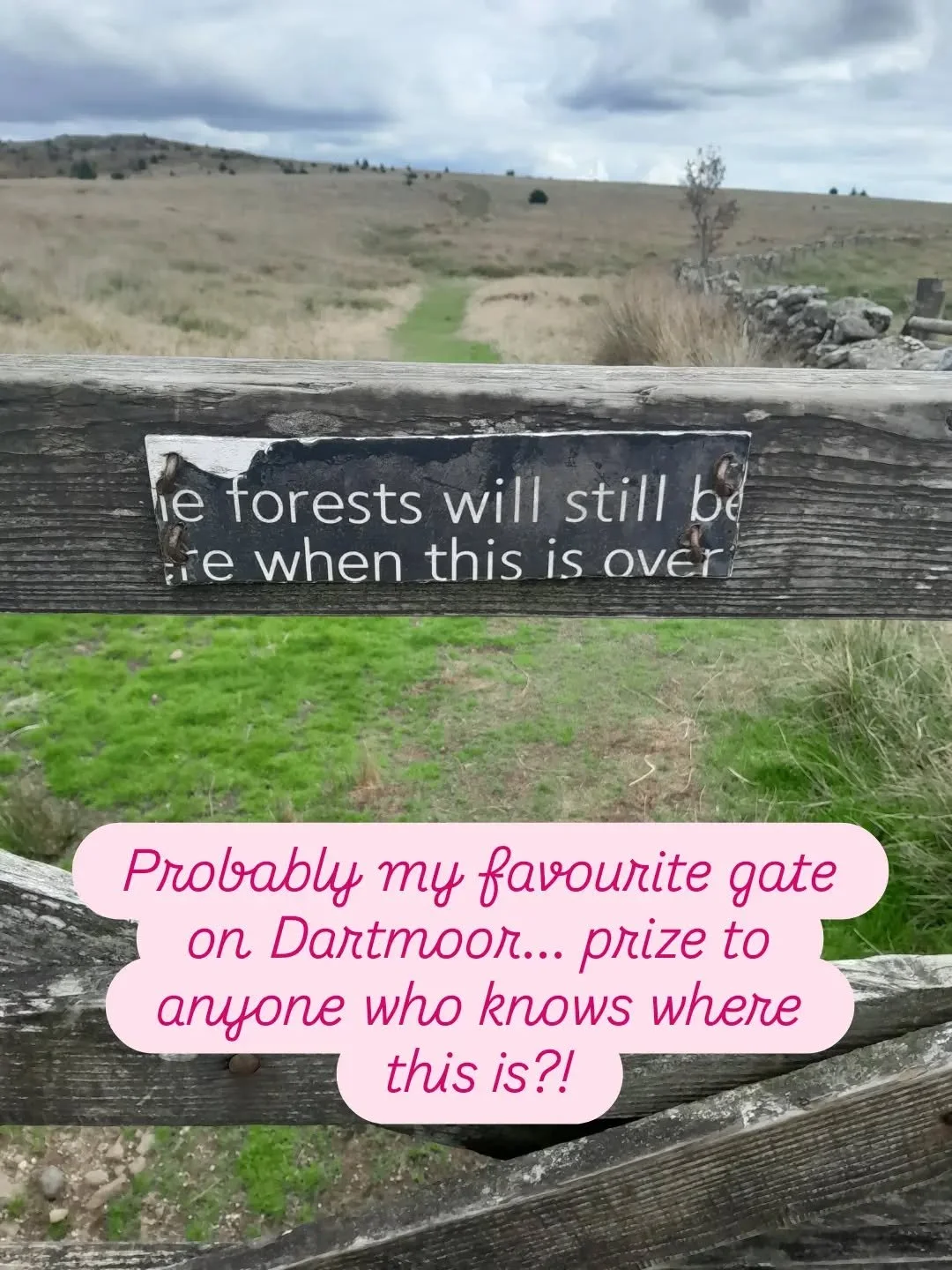 #exploredartmoor #wildcalmdartmoor #natureconnection
#mindfulwalking