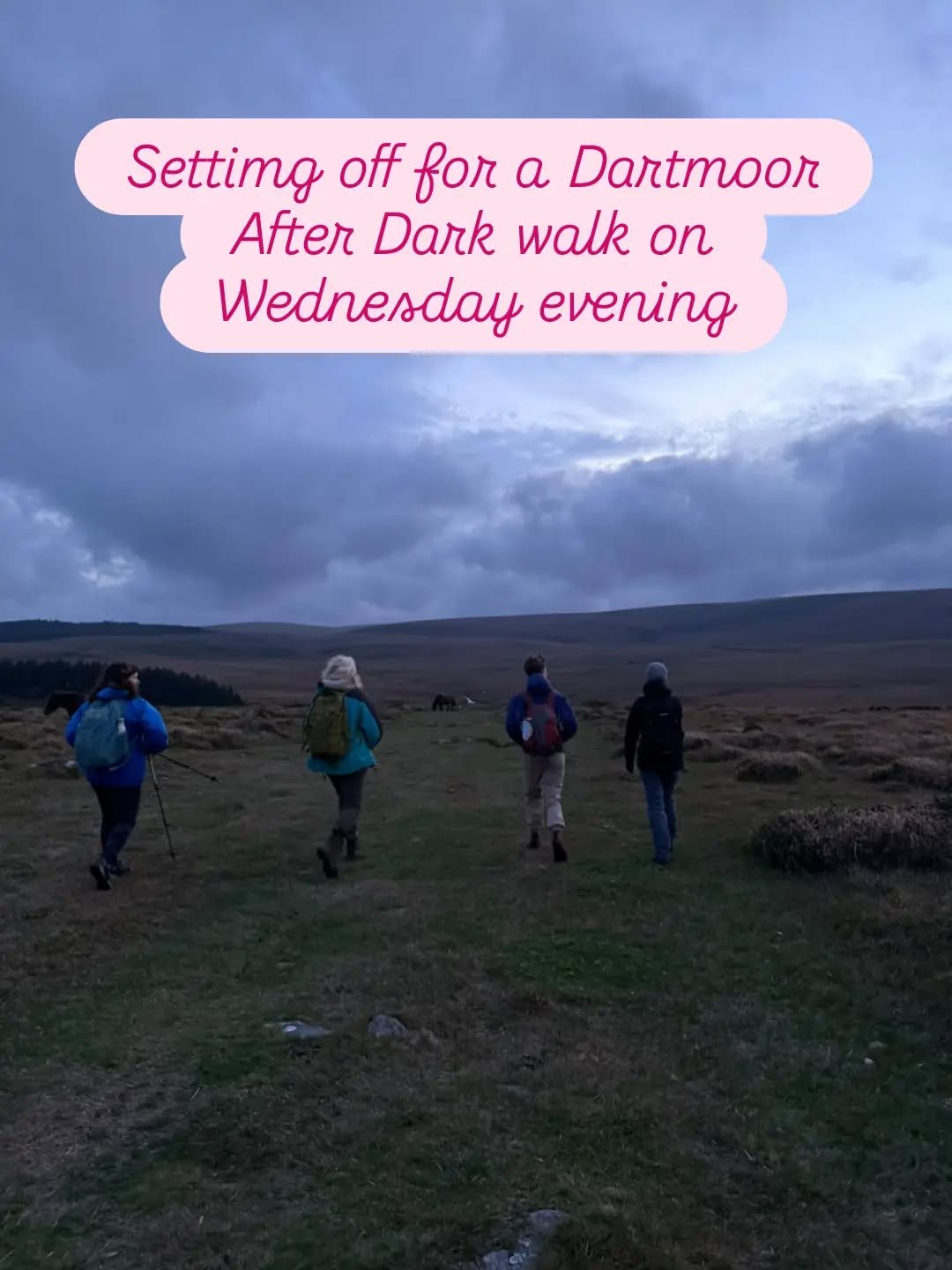 Some photos from our Dartmoor After Dark walk yesterday evening. A fun few hours out exploring the moor. 

Only a couple of places left on the next 2 Dartmoor After Dark walks - you can book via the link in my bio if you'd like to join. 

##lovedartm