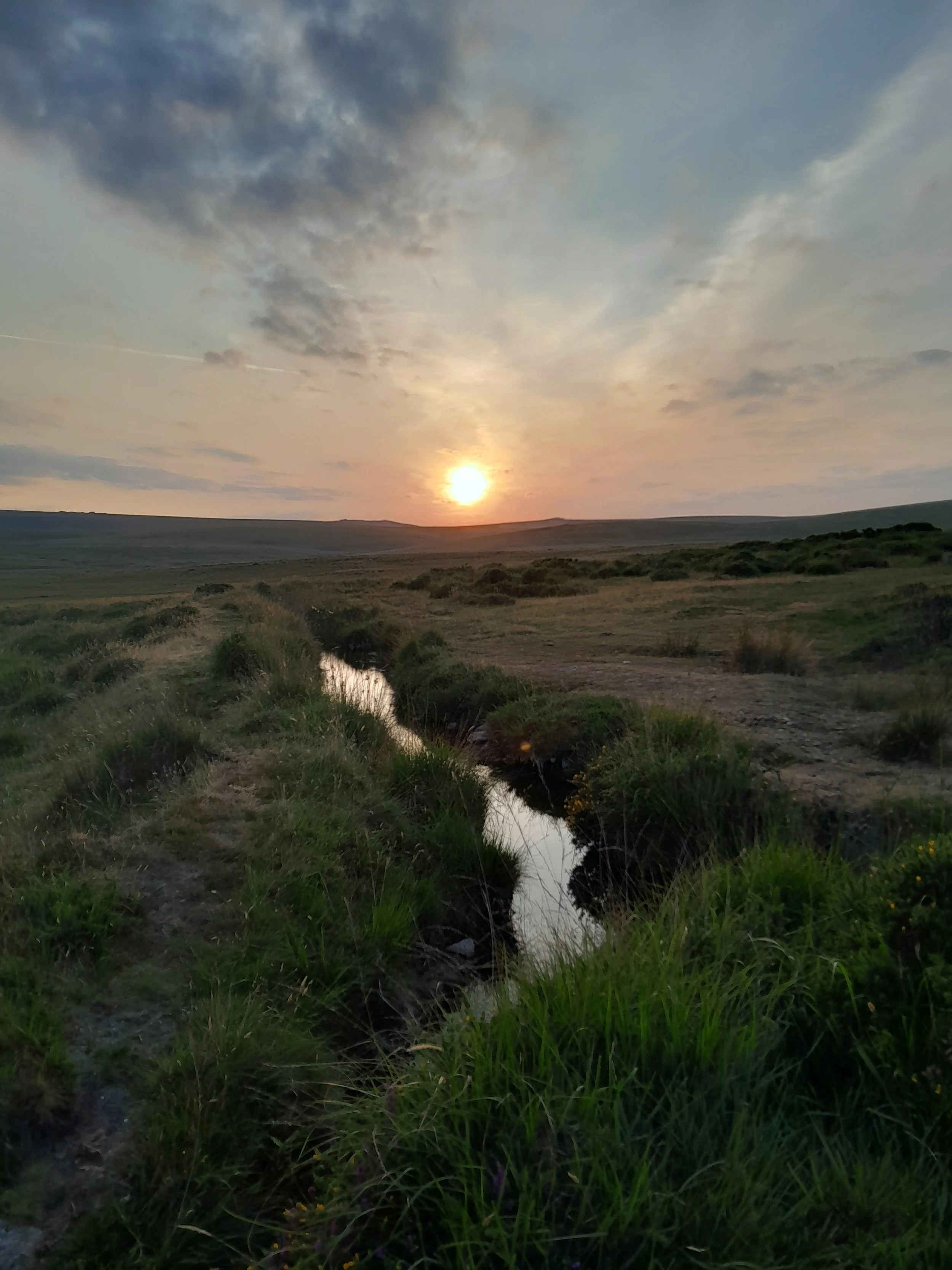Sun setting over open grassy landscape with a small stream, scattered bushes, and a partly cloudy sky.