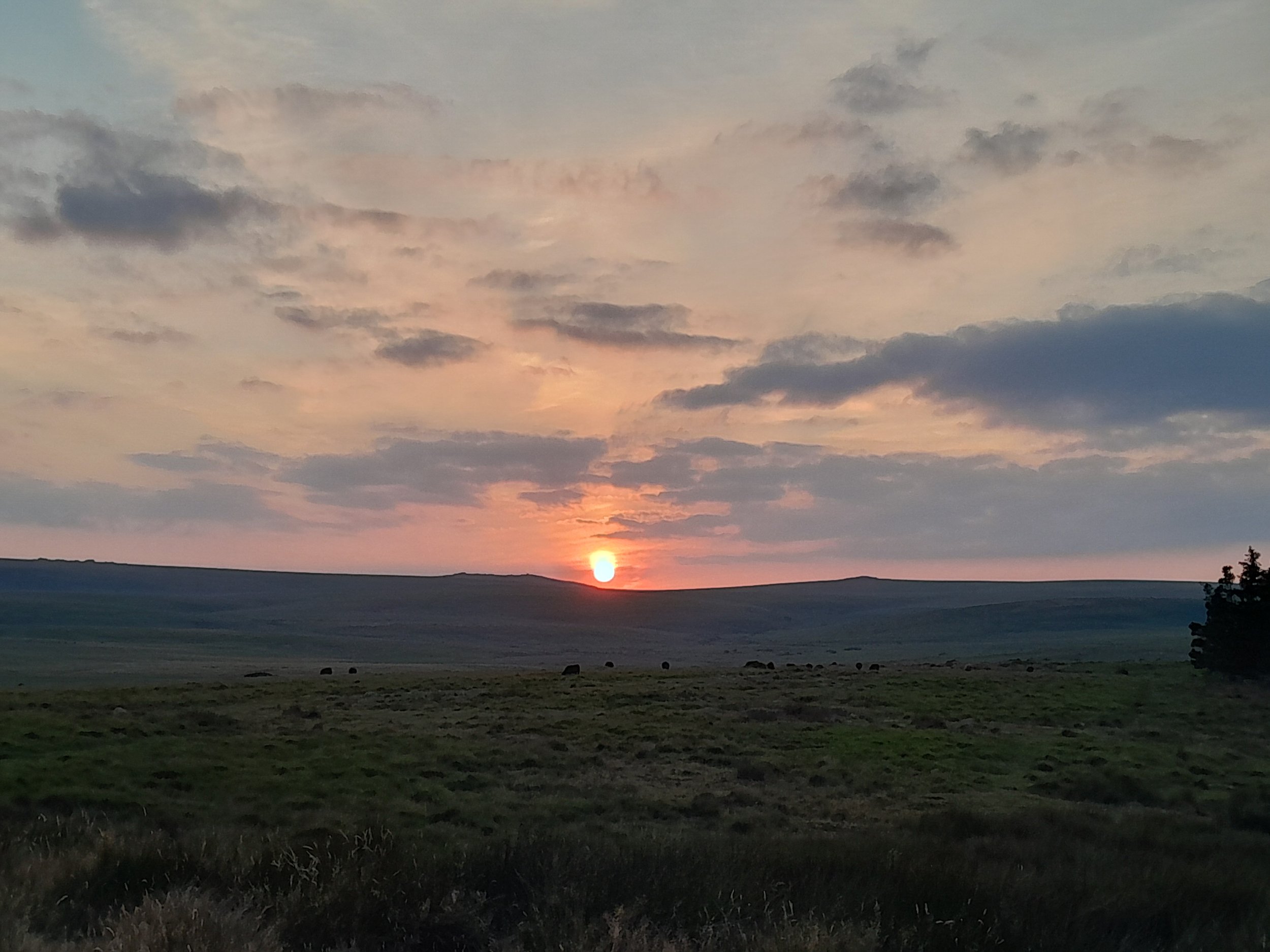 A sunset over a vast open field with clouds in the sky and some distant trees.