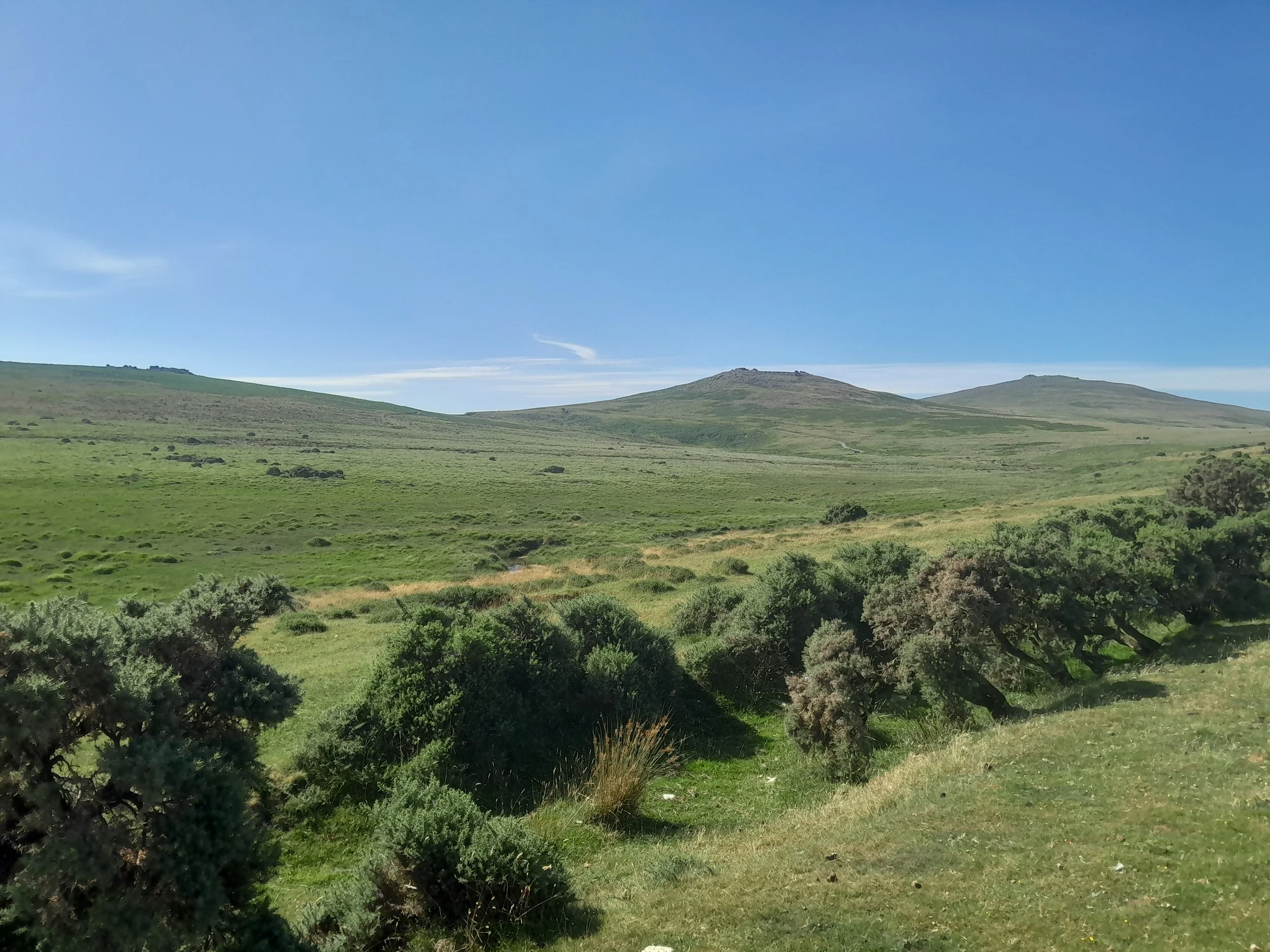 Green grassy hillside with shrubs in the foreground, rolling hills, and a mountain with a plateau top in the distance under a clear blue sky.