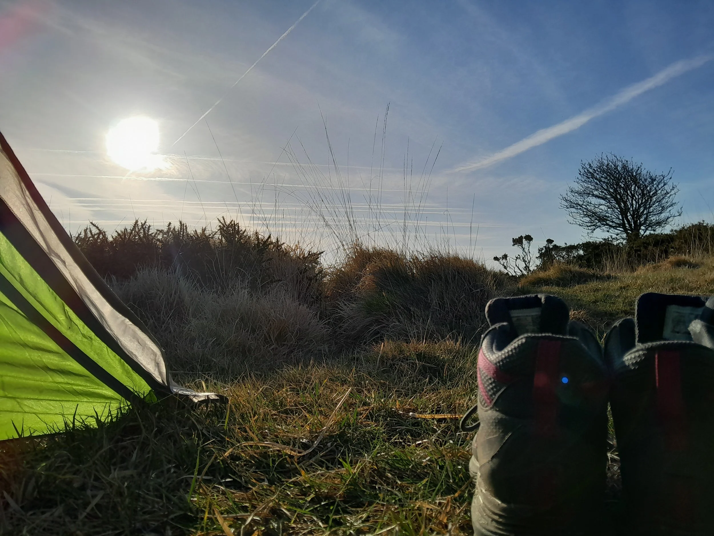 The image shows a landscape view seen from the ground level, possibly from inside a vehicle or camping tent. The foreground includes a partial view of a person's shoe and a green fabric, likely part of the tent or clothing. The background features tall grass and bushes, a large tree with no leaves, and a clear blue sky with scattered clouds and contrails. The sun is prominently visible, shining brightly and slightly to the left of the center, casting a glow over the scene.