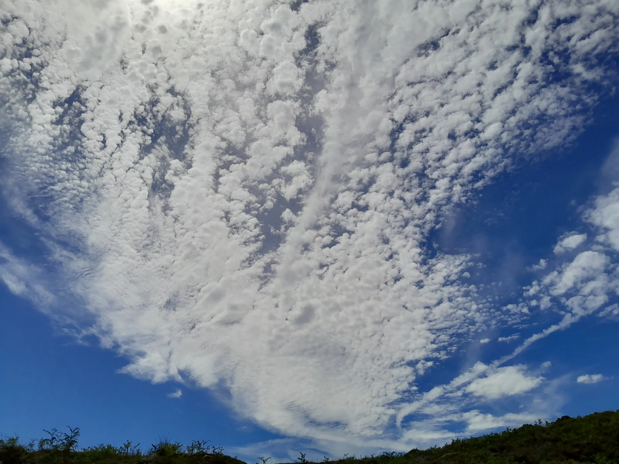 Blue sky filled with scattered fluffy white clouds, with some dark clouds near the horizon and a small patch of trees at the bottom.