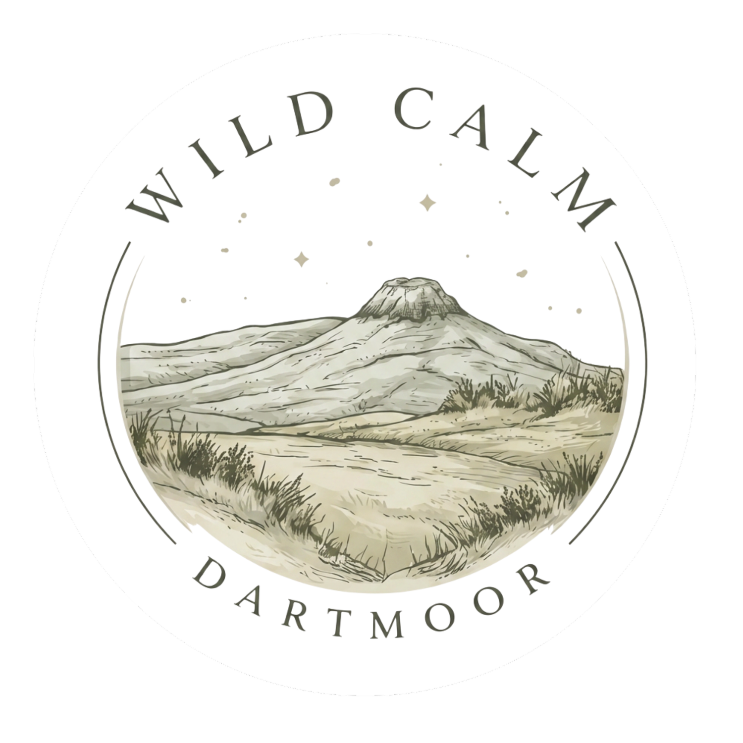 Wild Calm Dartmoor