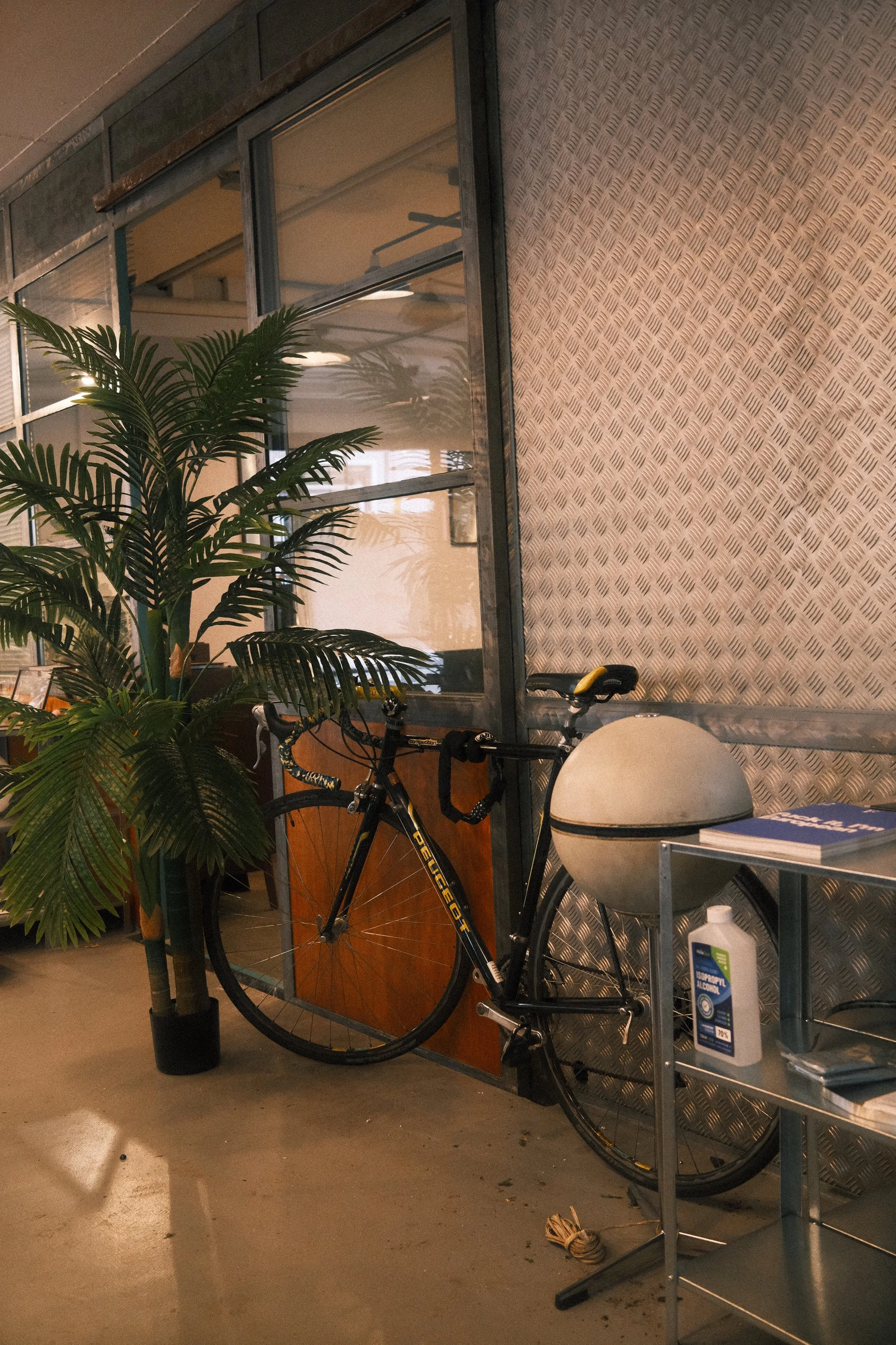 Innenraum mit einer großen Topfpflanze, einem schwarzen Fahrrad, einem weißen Helm und einem Tablett mit Büchern auf einem metallischen Tisch. Es gibt eine Glaswand mit Metallrahmen und eine Holzschranke, im Hintergrund eine Wand mit Tapetenmuster.