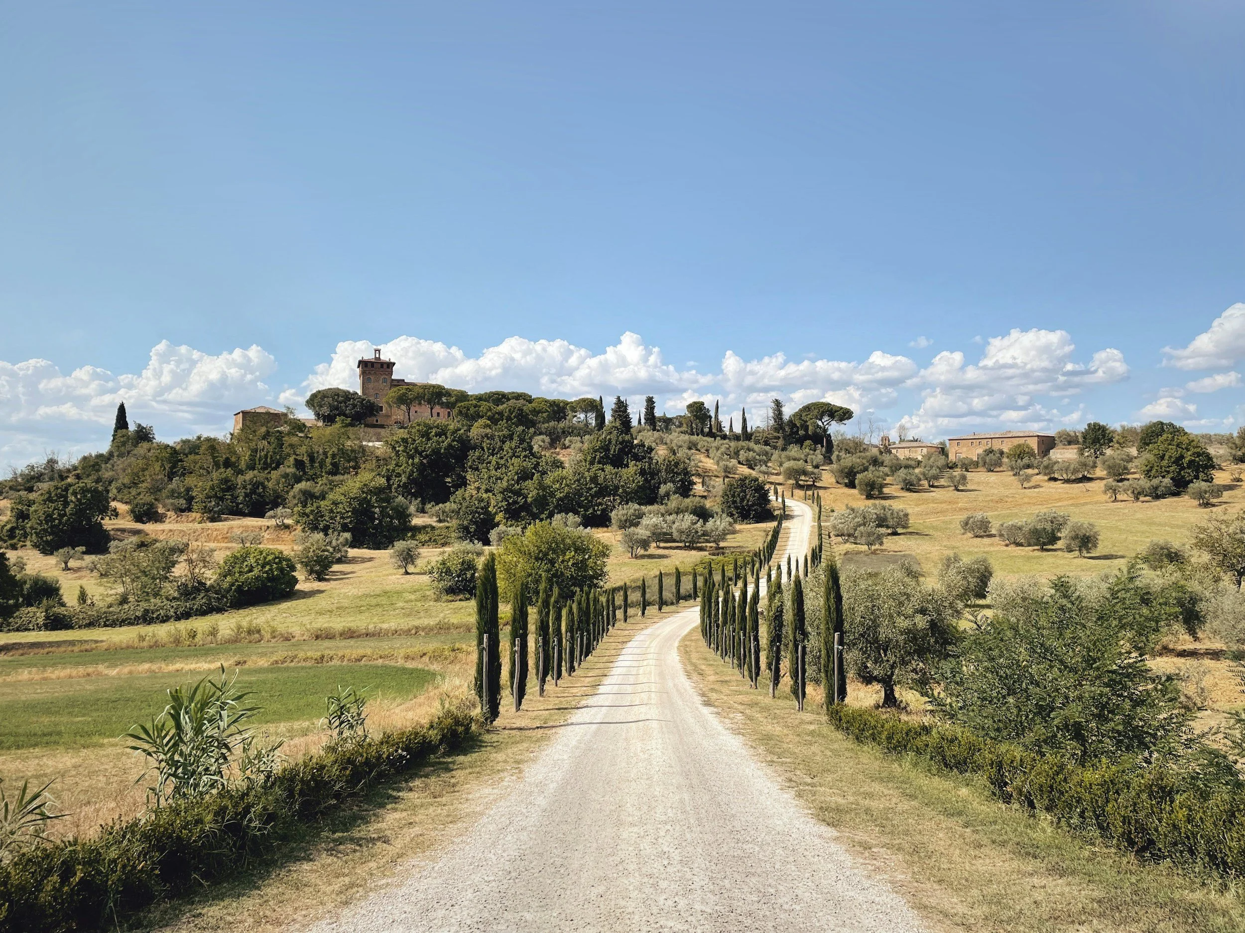 A dirt road lined with cypress trees leading to a hilltop with a rustic stone building and a tower, under a blue sky with scattered clouds.