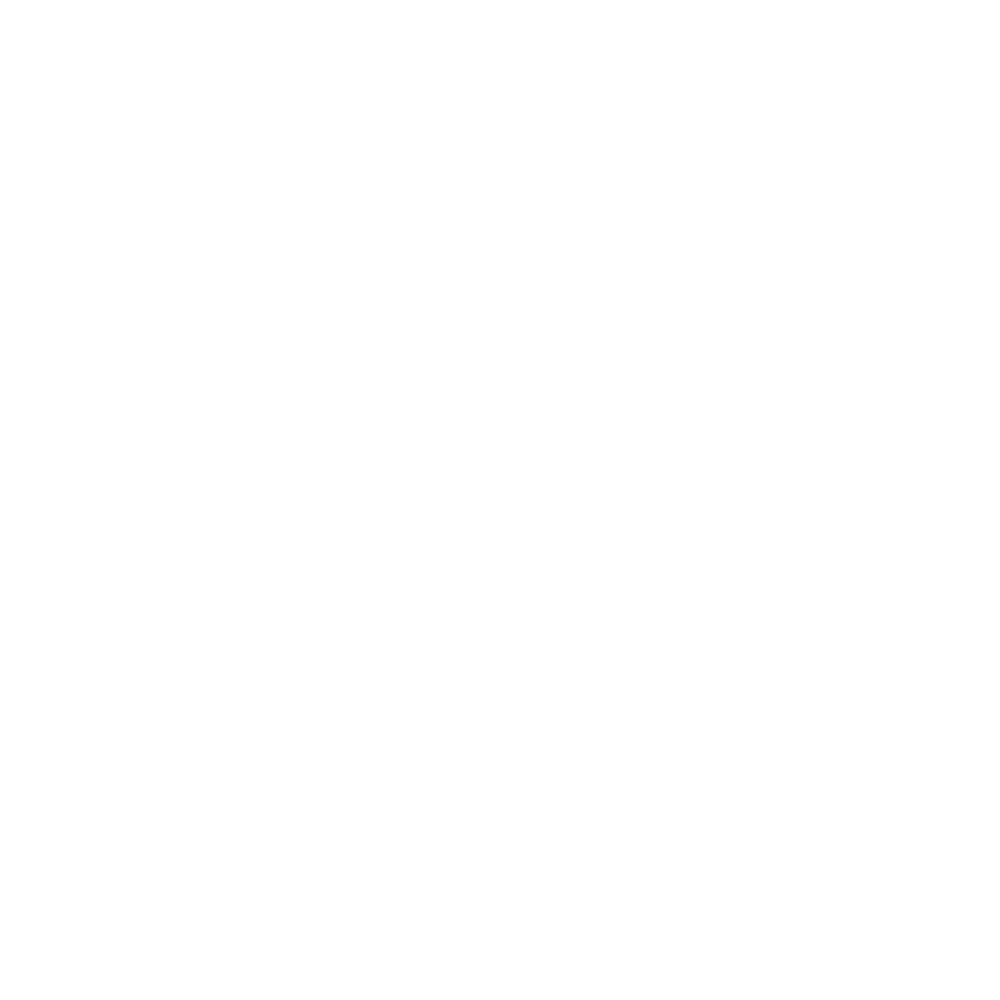 Logos_v01_0022_Google.png