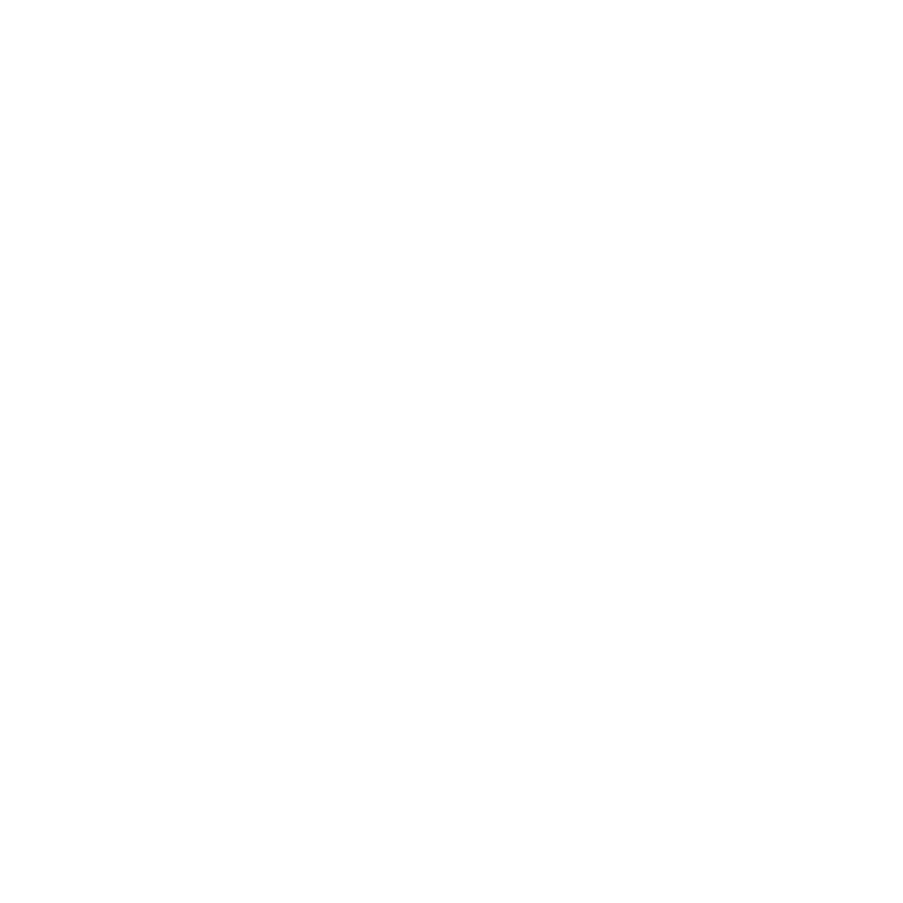Logos_v01_0022_Zeiss.png