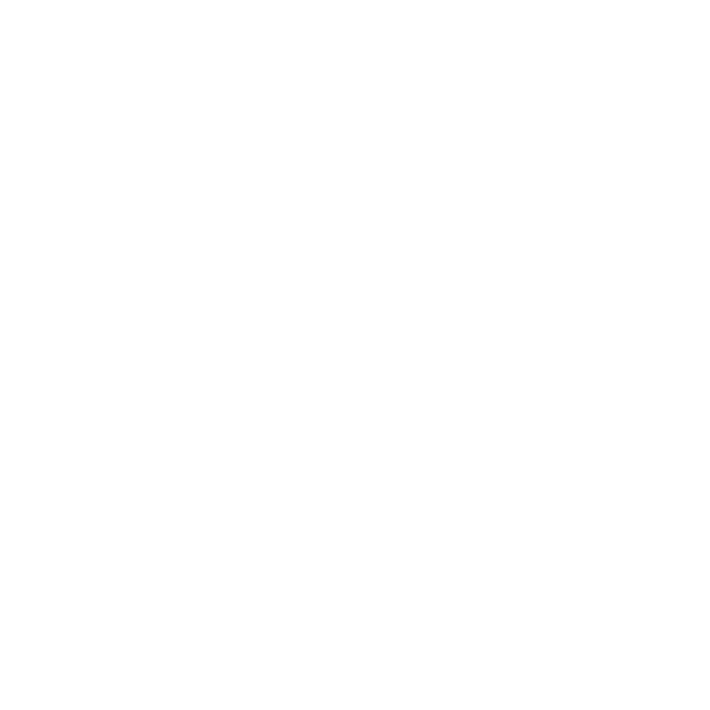 Logos_v01_0015_Bose.png