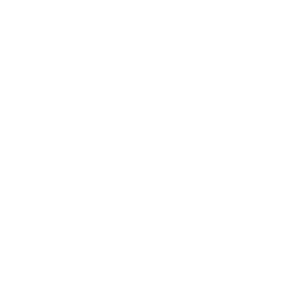 Logos_v01_0014_BMW.png