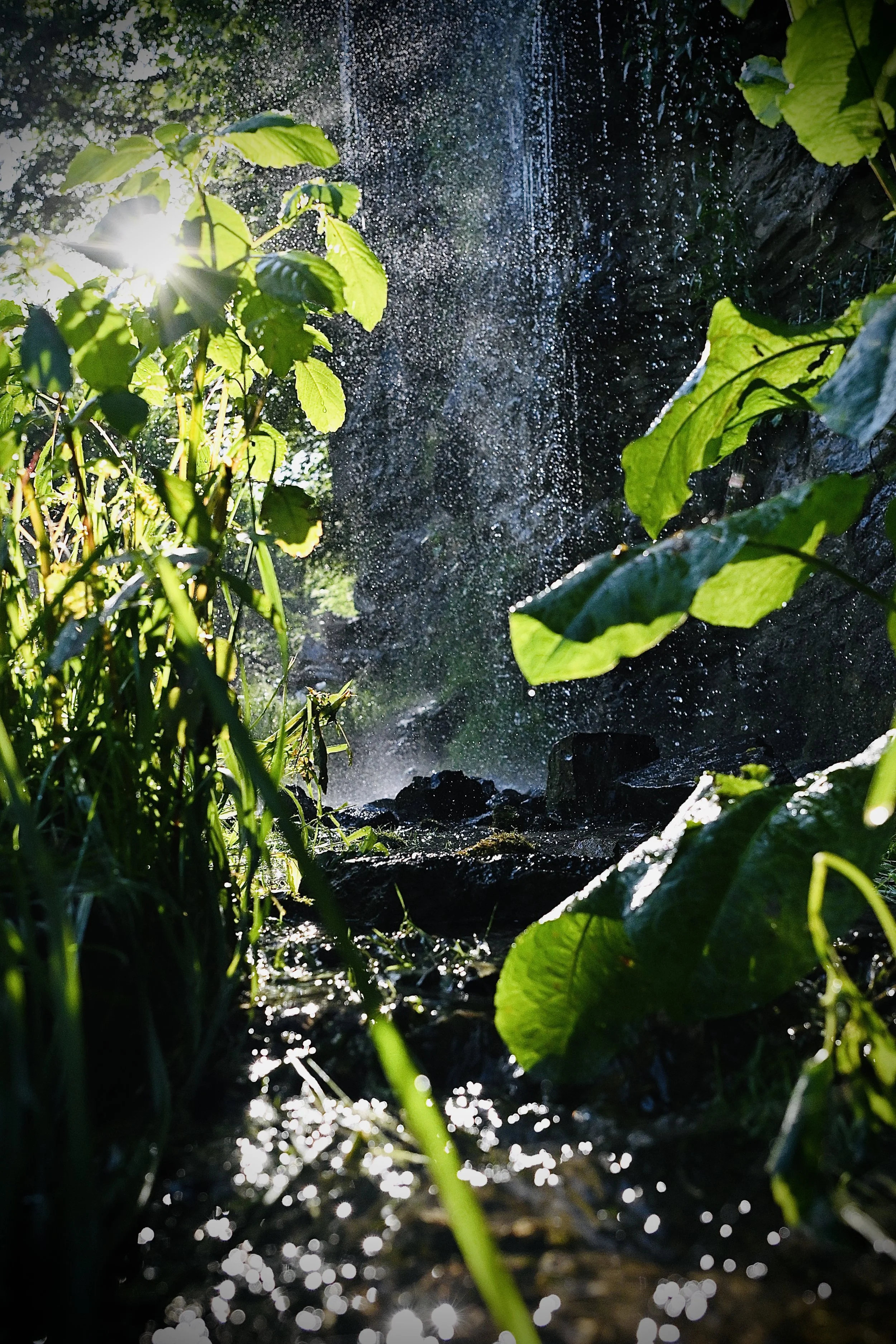 Sunlight shines through greenery onto a small waterfall with water droplets splashing and sparkling in the light