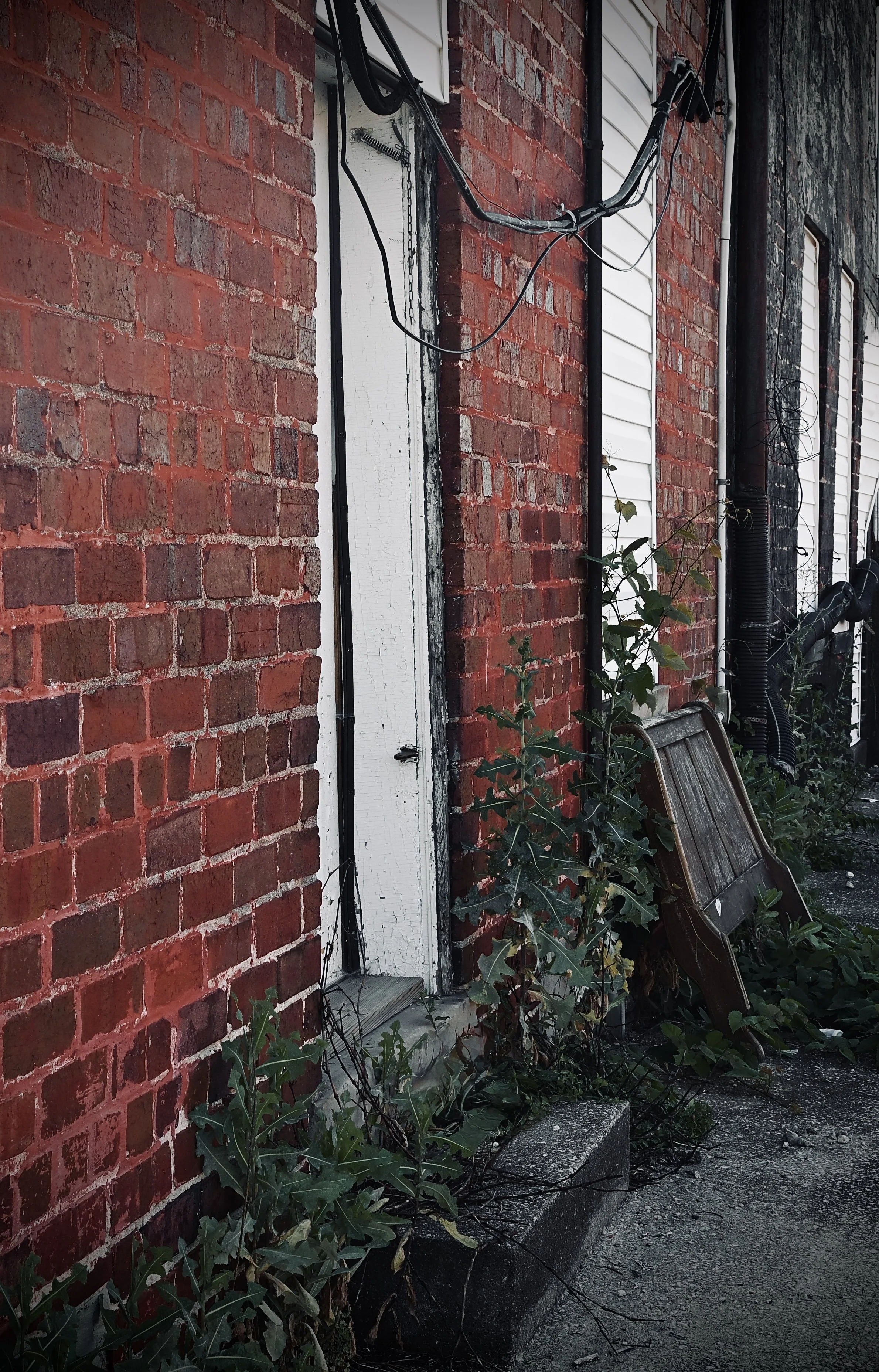 The side of a building with red brick walls, white painted door, black wires, green plants, and a wooden bench.